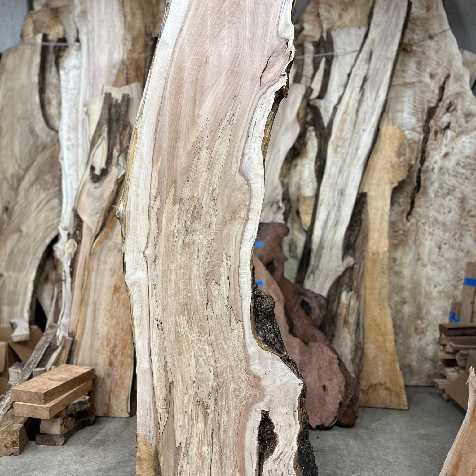 LiveEdge Big Leaf Maple | Big Leaf Maple | Hamilton Lee Supply