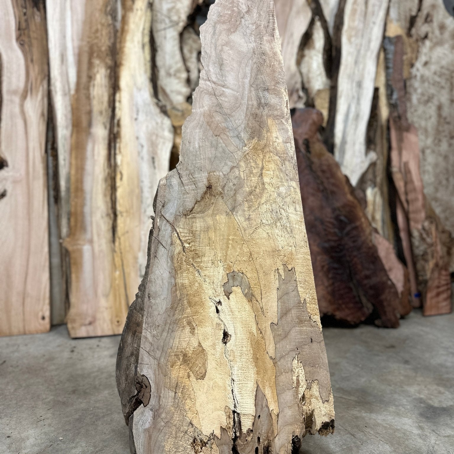 LiveEdge Big Leaf Maple | Big Leaf Maple | Hamilton Lee Supply