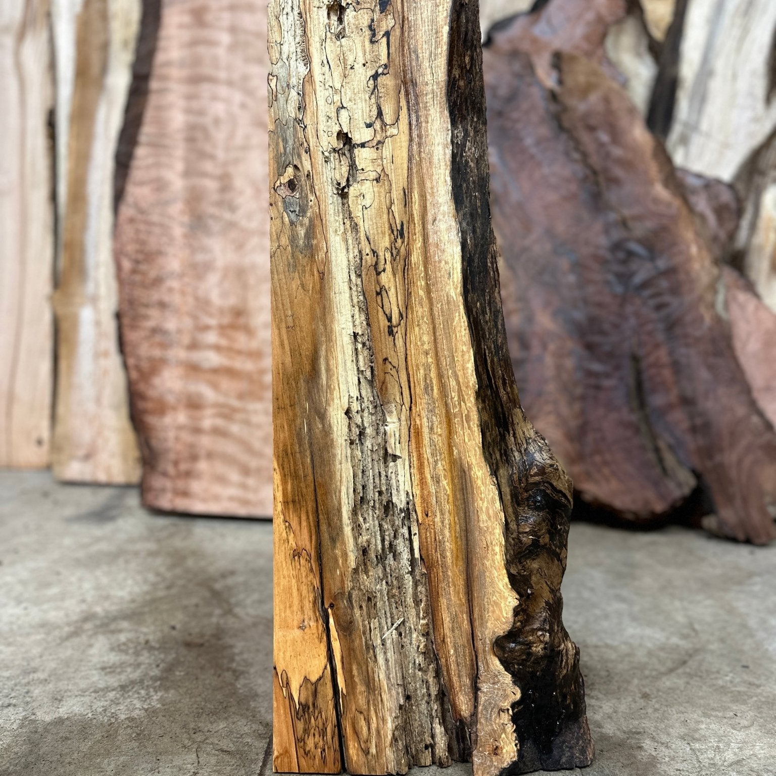 LiveEdge Big Leaf Maple | Big Leaf Maple | Hamilton Lee Supply