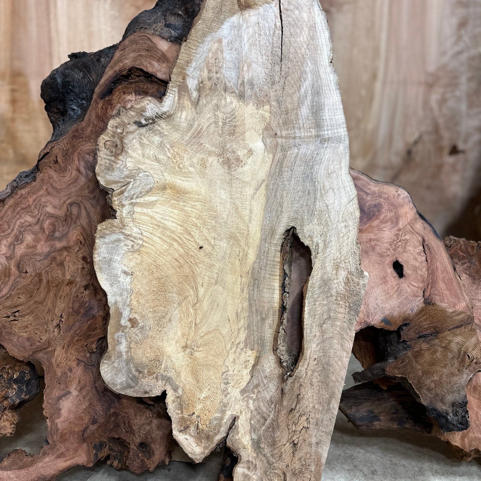 LiveEdge Big Leaf Maple | Big Leaf Maple | Hamilton Lee Supply