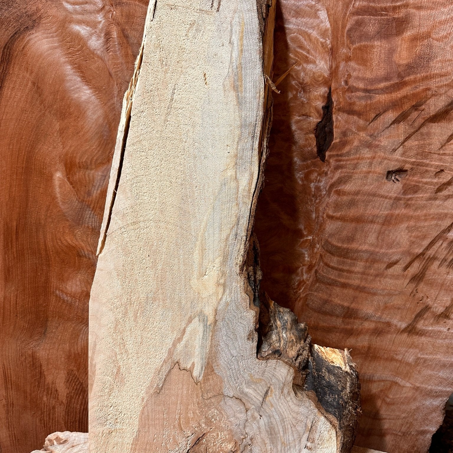LiveEdge Big Leaf Maple | Big Leaf Maple | Hamilton Lee Supply