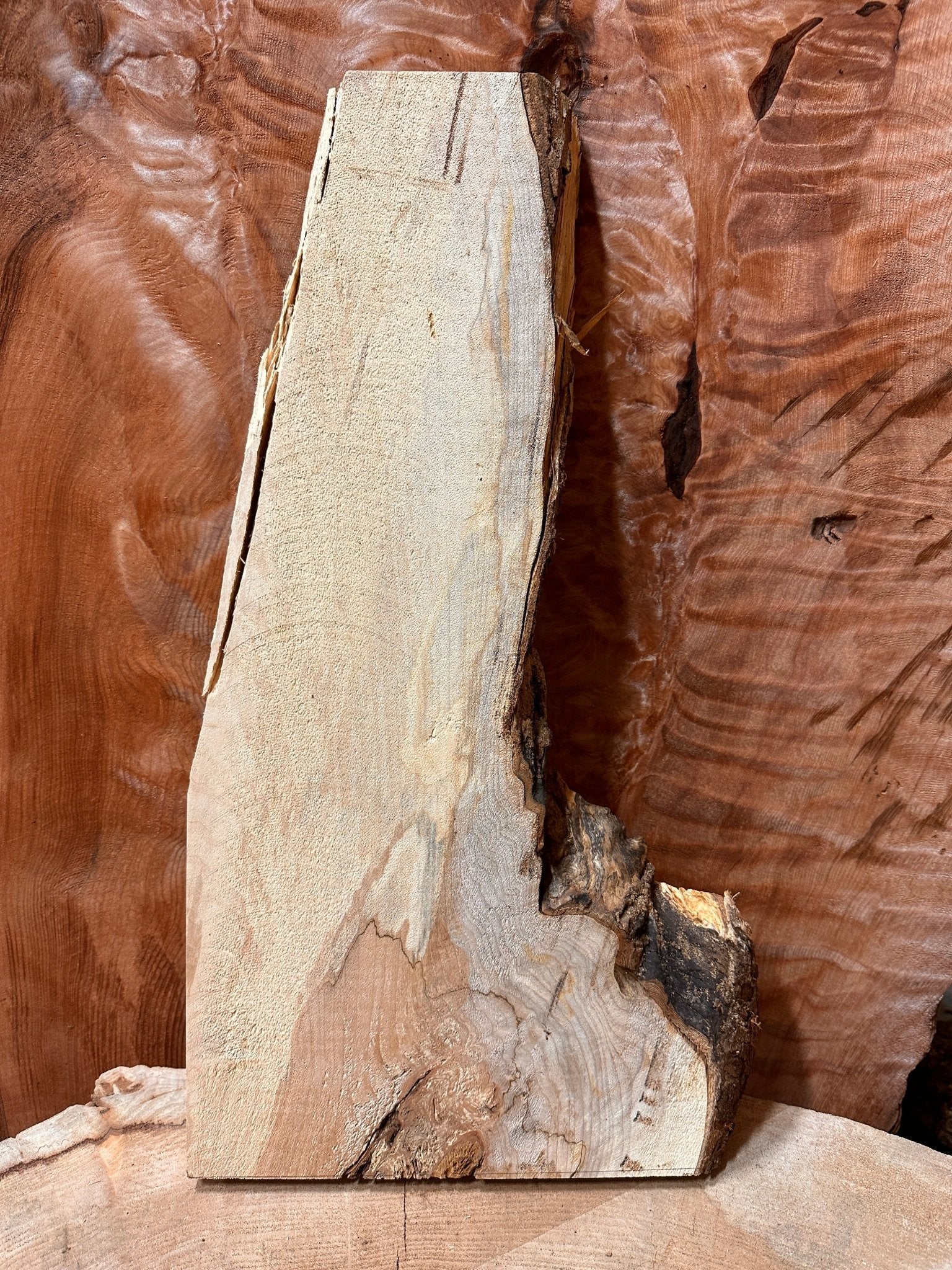 LiveEdge Big Leaf Maple | Big Leaf Maple | Hamilton Lee Supply