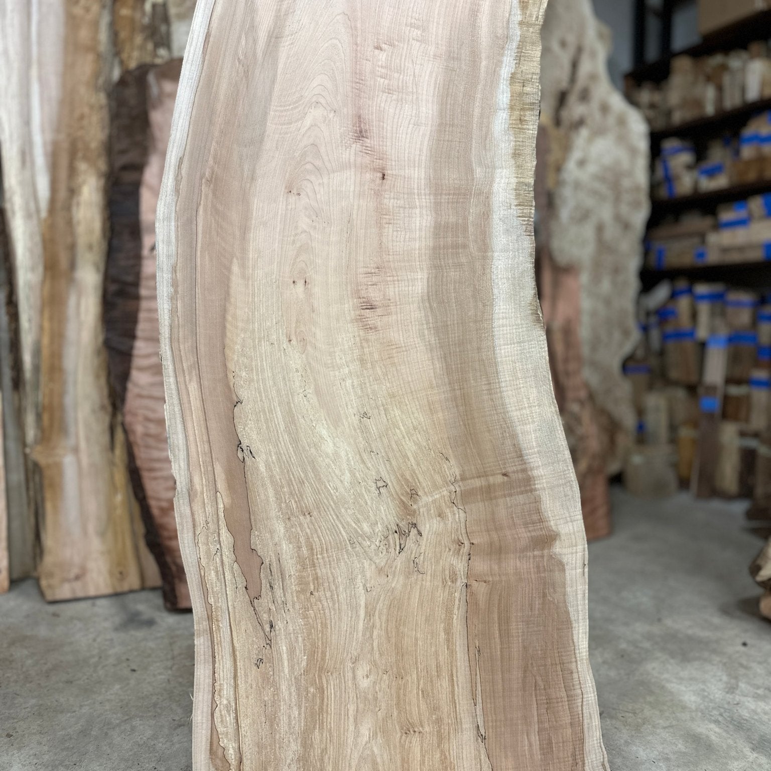 LiveEdge Big Leaf Maple | Big Leaf Maple | Hamilton Lee Supply