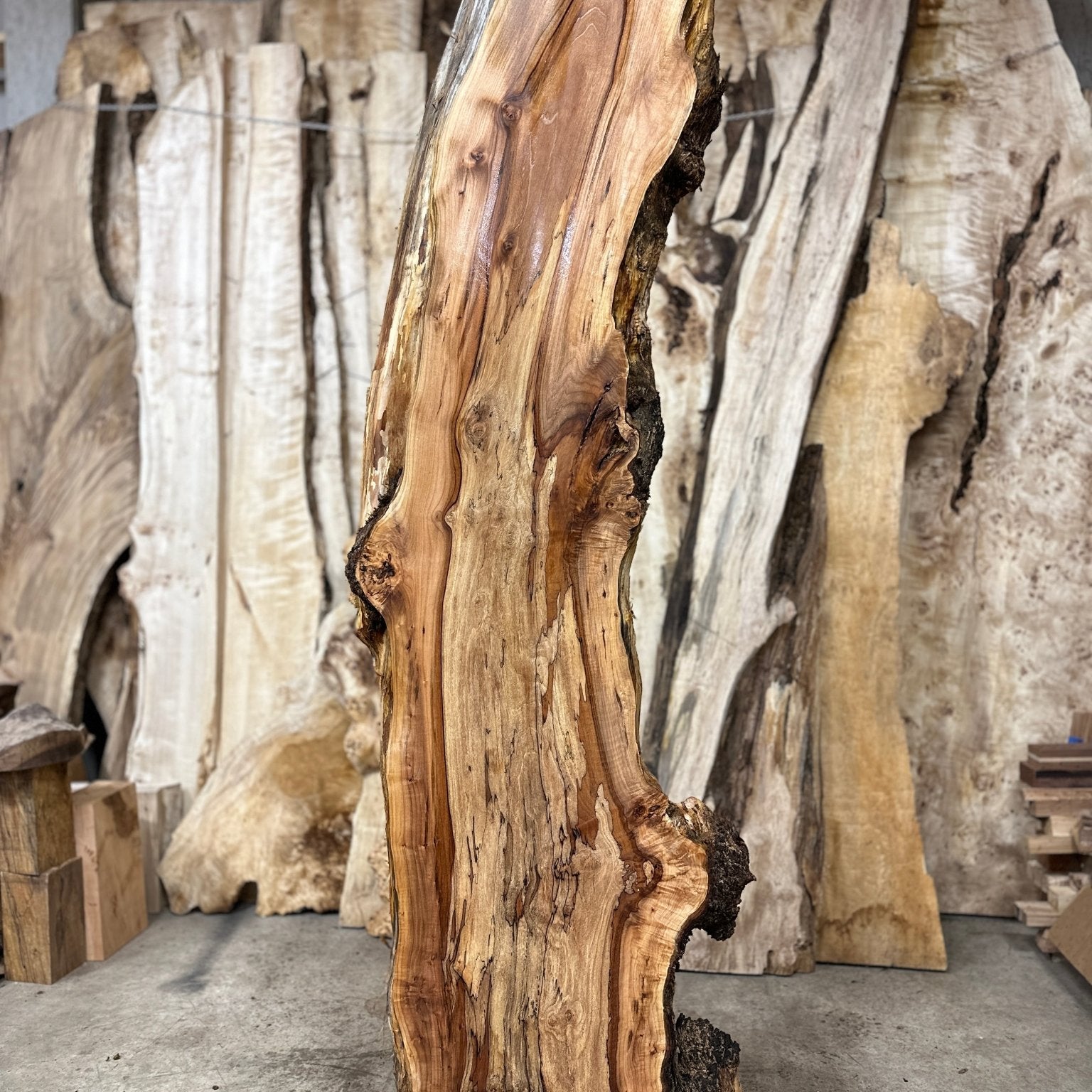 LiveEdge Big Leaf Maple | Big Leaf Maple | Hamilton Lee Supply