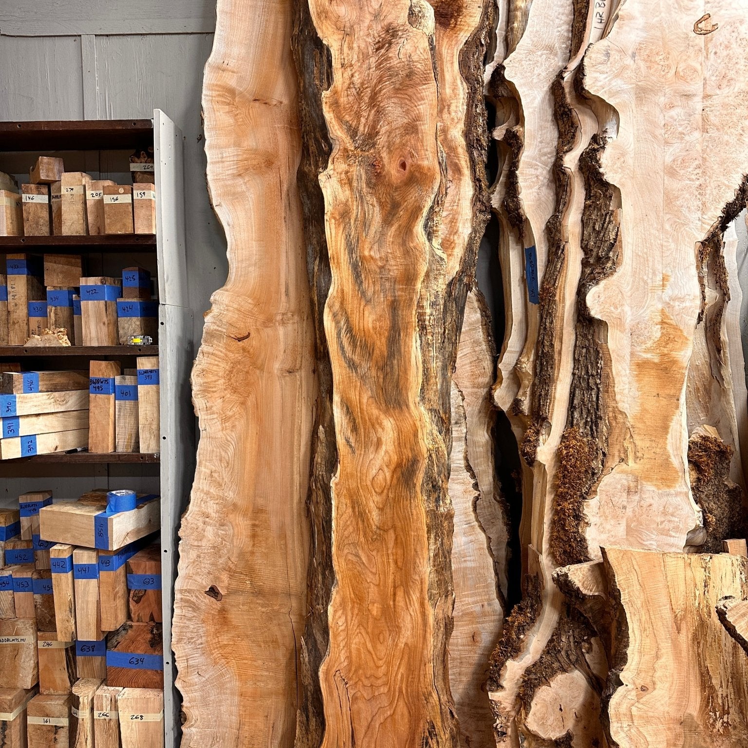 LiveEdge Big Leaf Maple | Big Leaf Maple | Hamilton Lee Supply