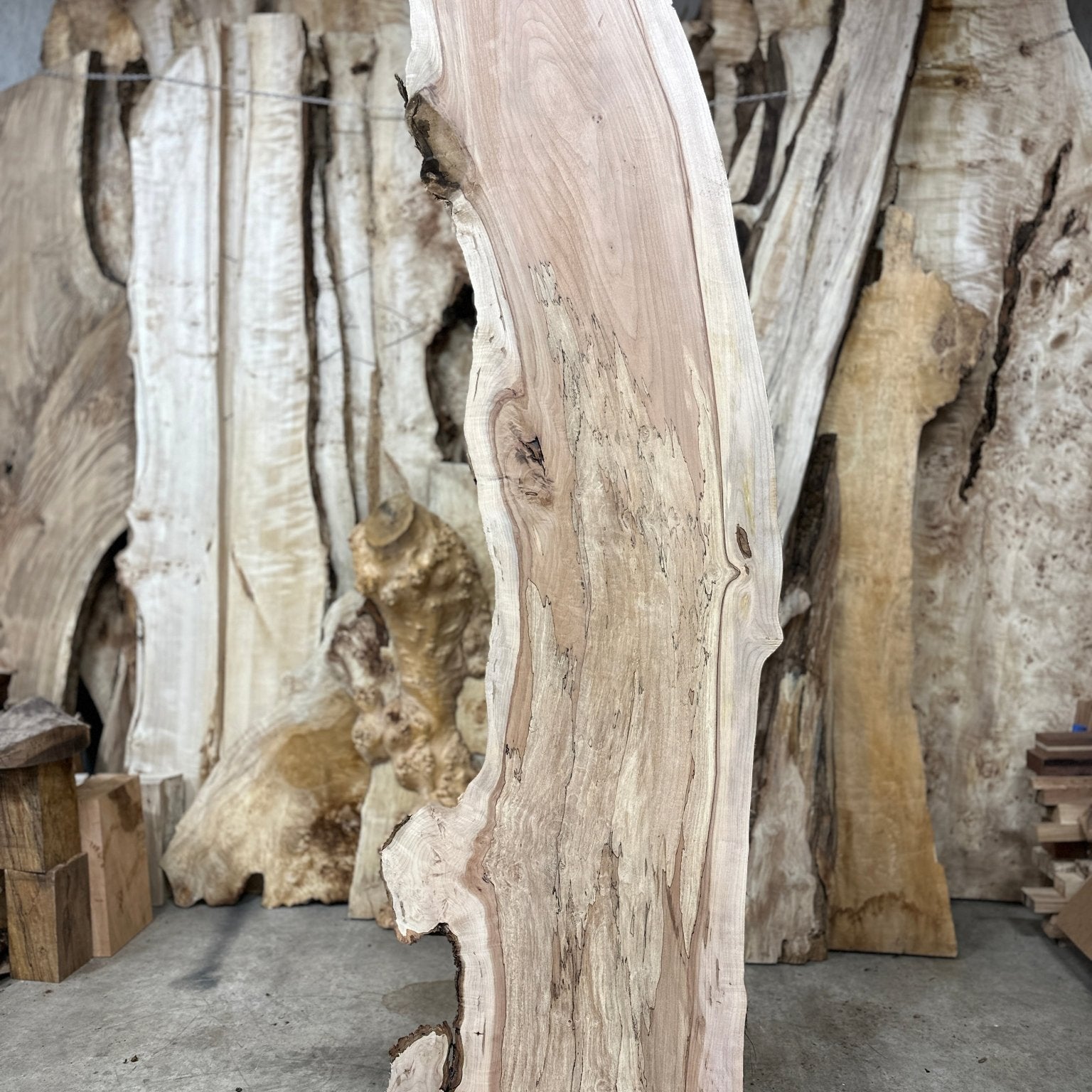 LiveEdge Big Leaf Maple | Big Leaf Maple | Hamilton Lee Supply