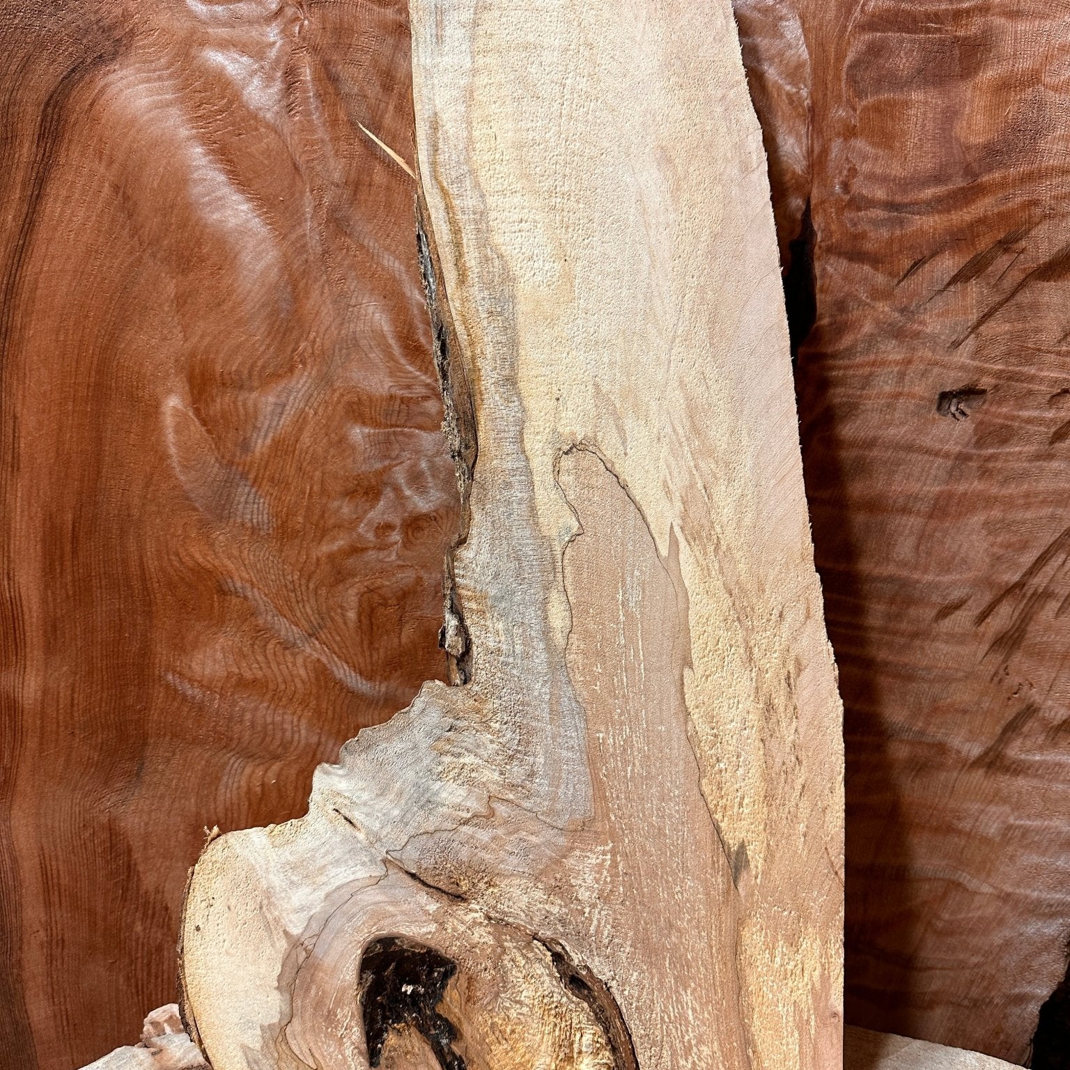 LiveEdge Big Leaf Maple | Big Leaf Maple | Hamilton Lee Supply