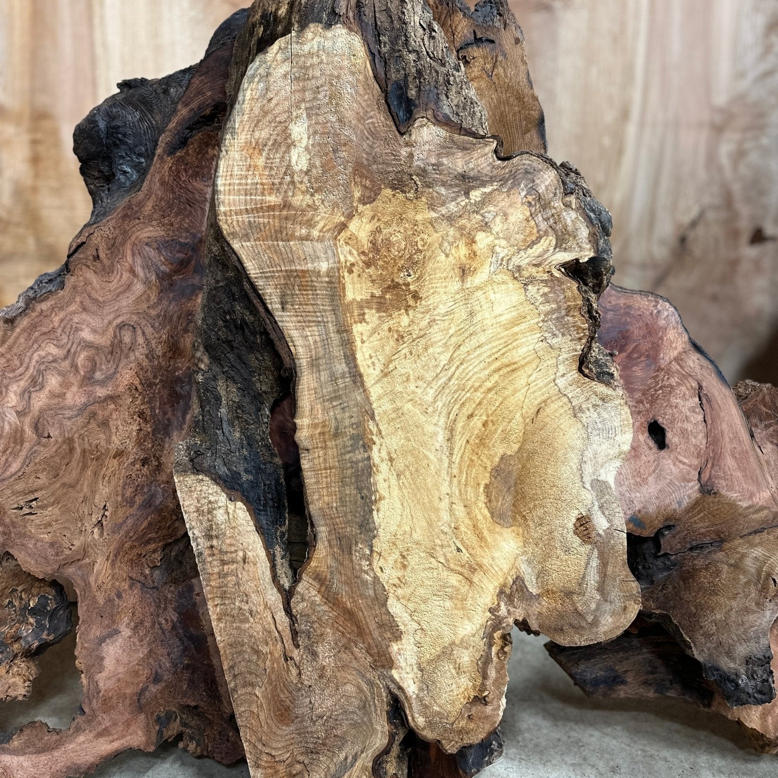 LiveEdge Big Leaf Maple | Big Leaf Maple | Hamilton Lee Supply