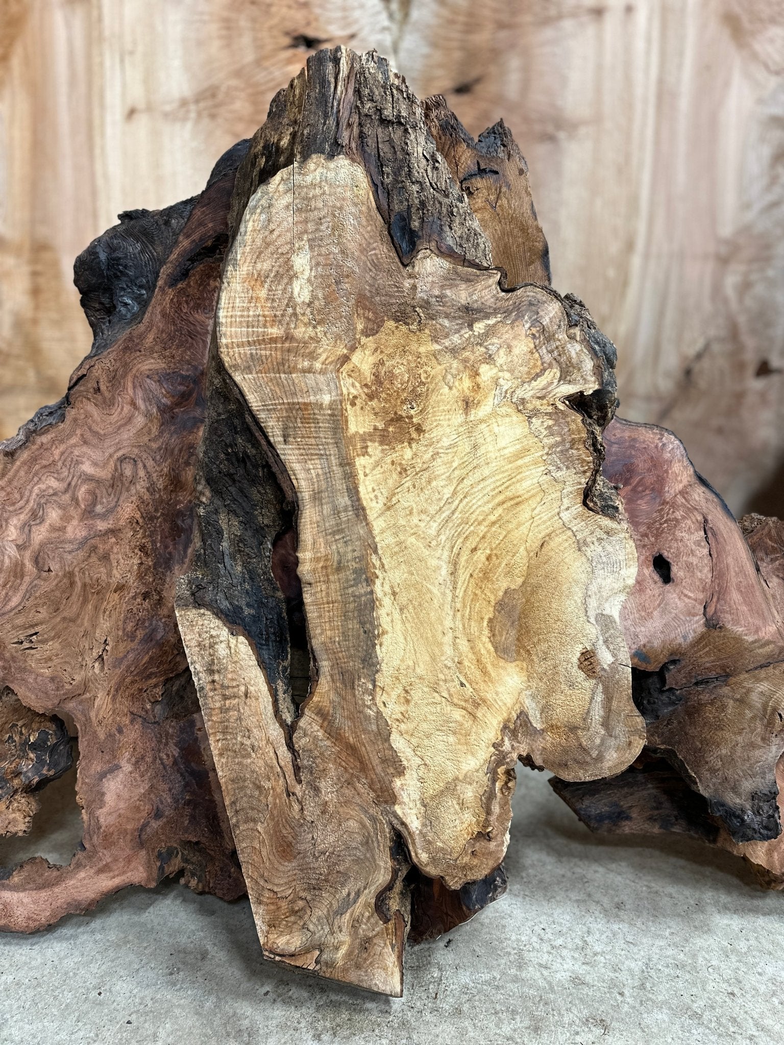 LiveEdge Big Leaf Maple | Big Leaf Maple | Hamilton Lee Supply