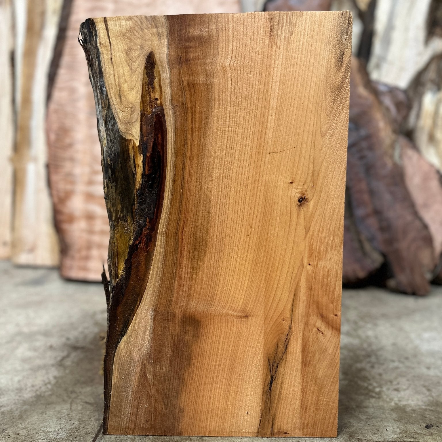 LiveEdge Big Leaf Maple | Big Leaf Maple | Hamilton Lee Supply