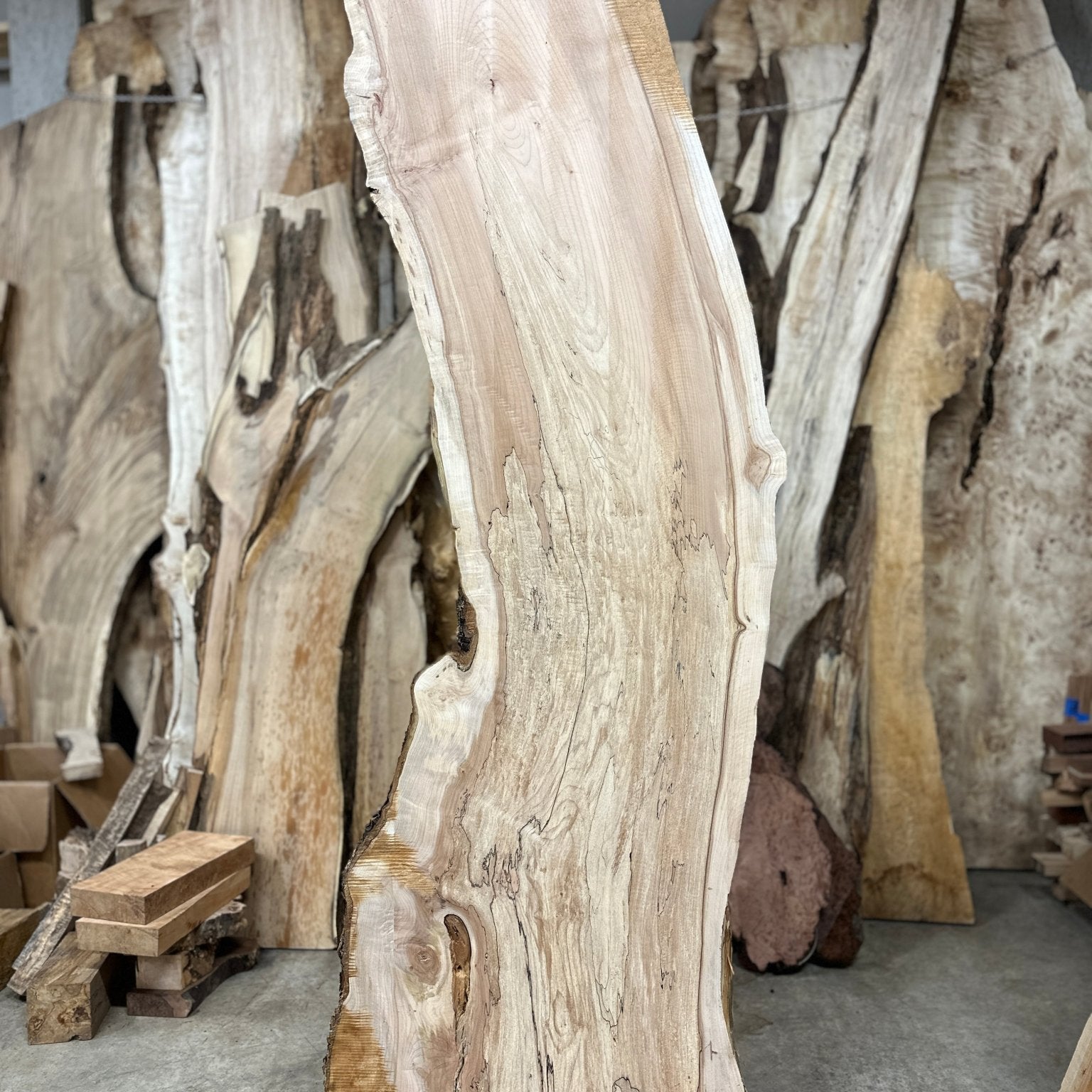 LiveEdge Big Leaf Maple | Big Leaf Maple | Hamilton Lee Supply