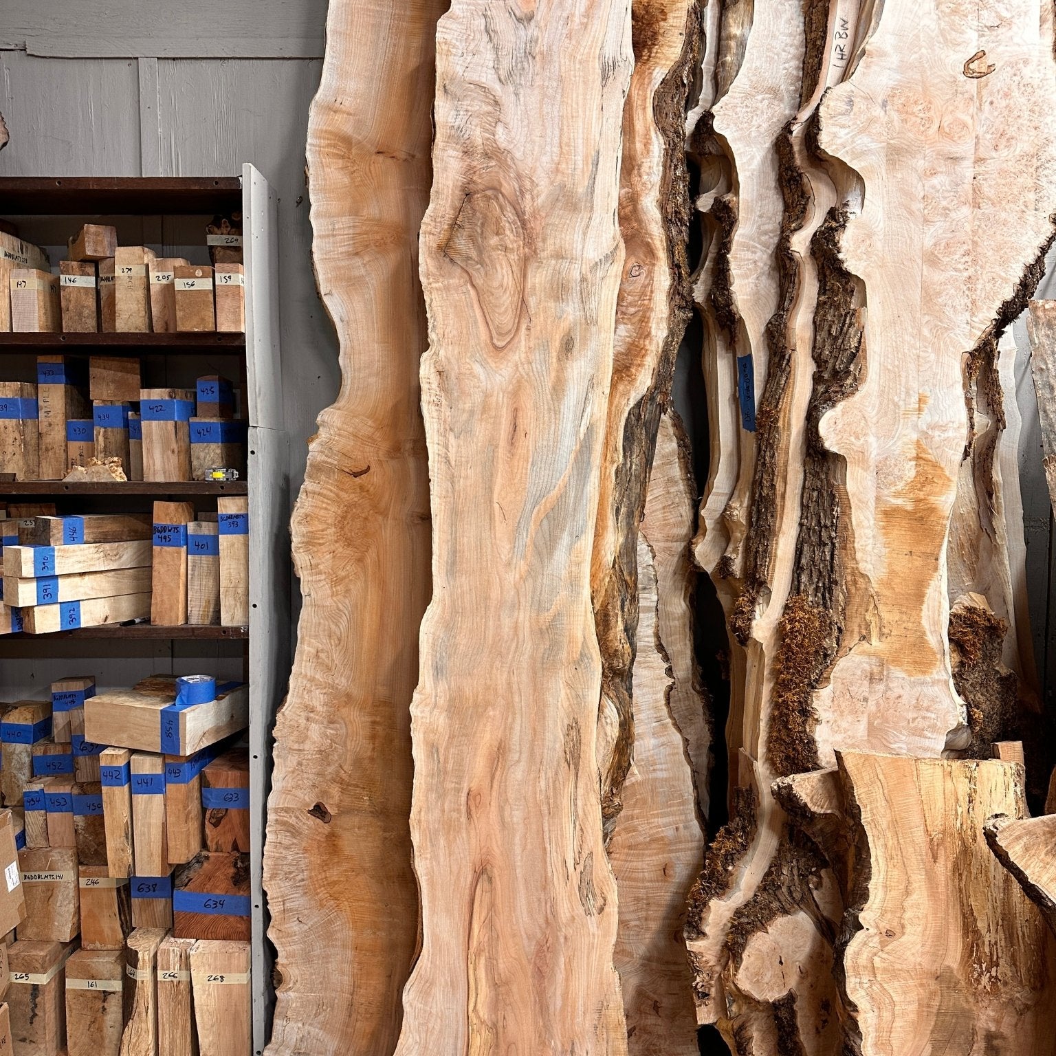 LiveEdge Big Leaf Maple | Big Leaf Maple | Hamilton Lee Supply
