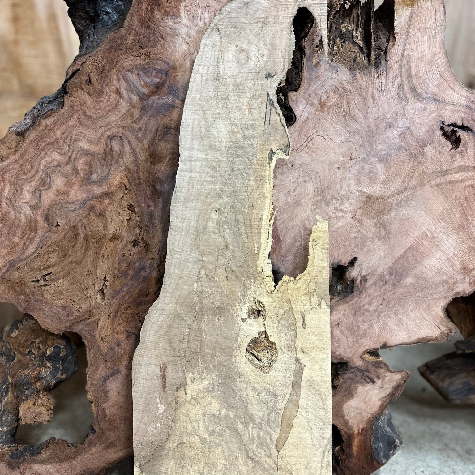 LiveEdge Big Leaf Maple | Big Leaf Maple | Hamilton Lee Supply