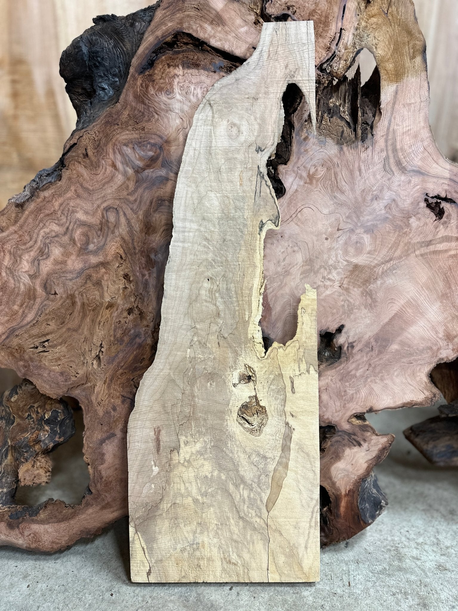 LiveEdge Big Leaf Maple | Big Leaf Maple | Hamilton Lee Supply