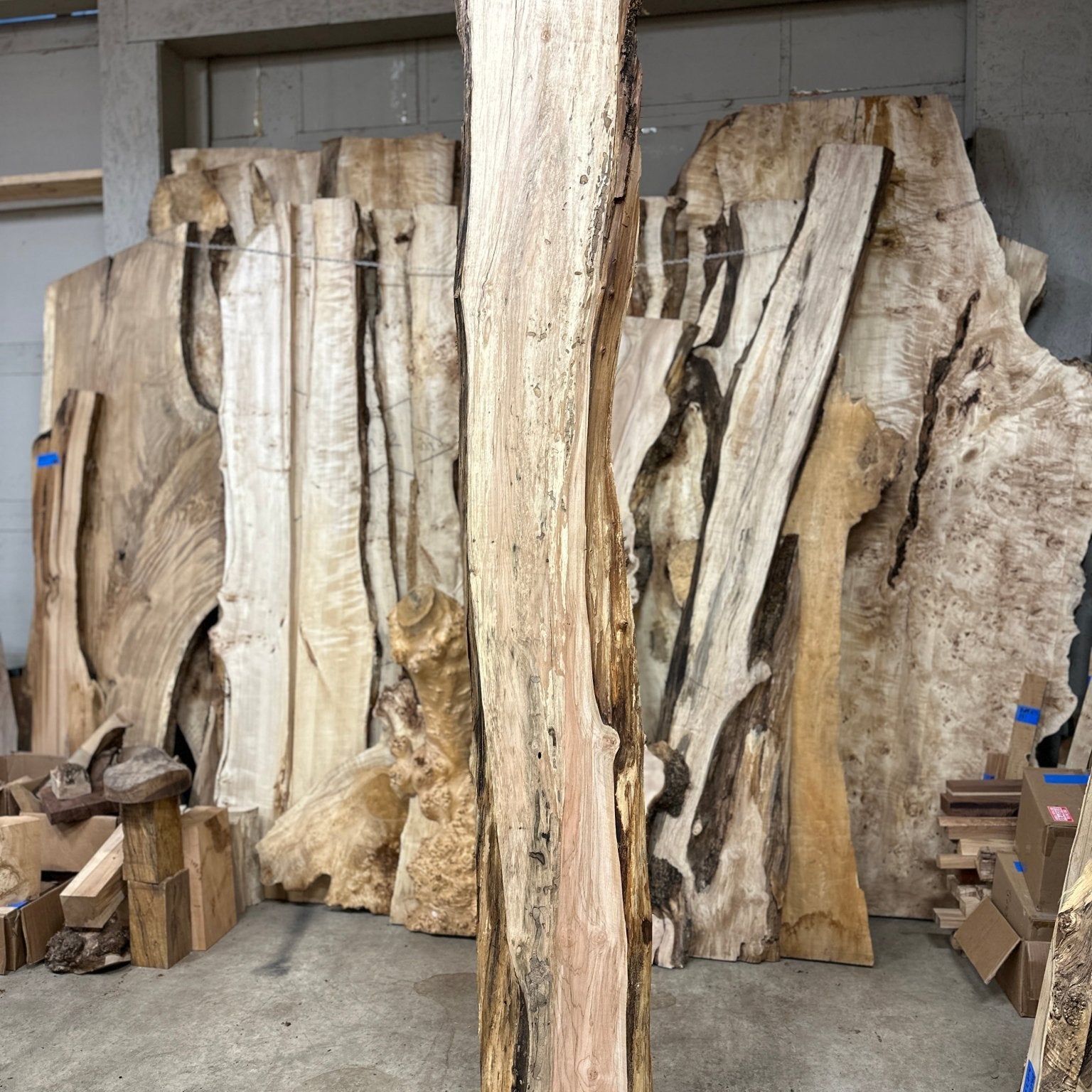 LiveEdge Big Leaf Maple | Big Leaf Maple | Hamilton Lee Supply