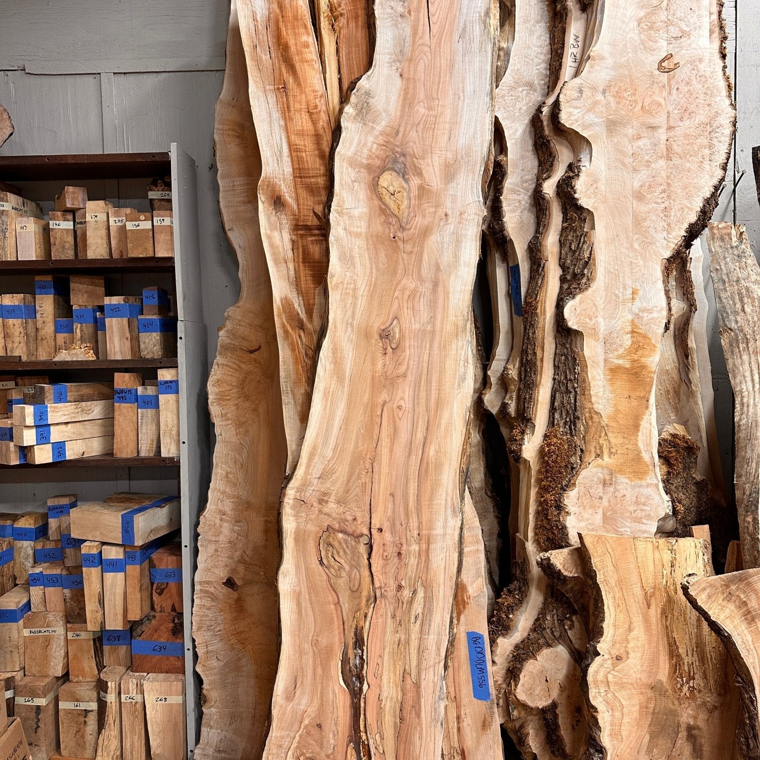 LiveEdge Big Leaf Maple | Big Leaf Maple | Hamilton Lee Supply