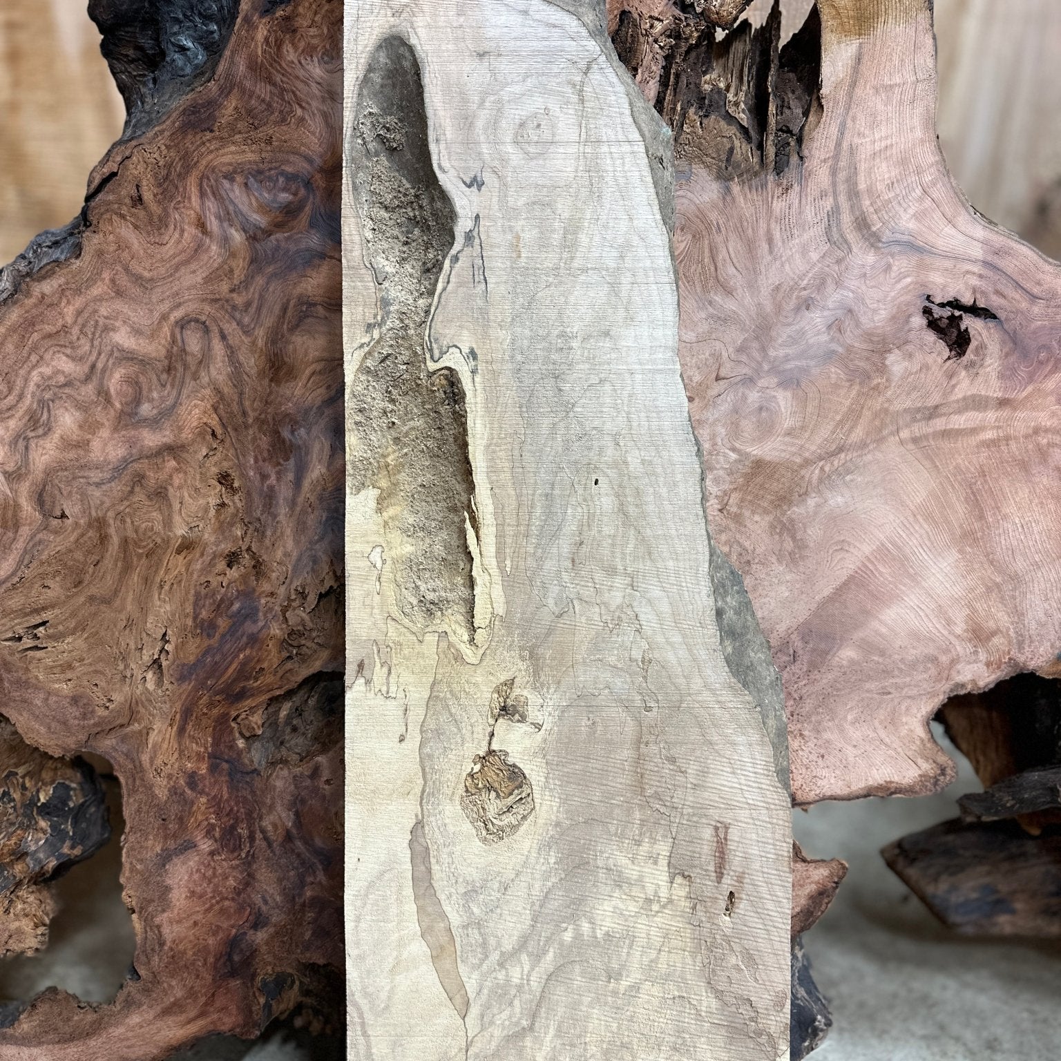 LiveEdge Big Leaf Maple | Big Leaf Maple | Hamilton Lee Supply