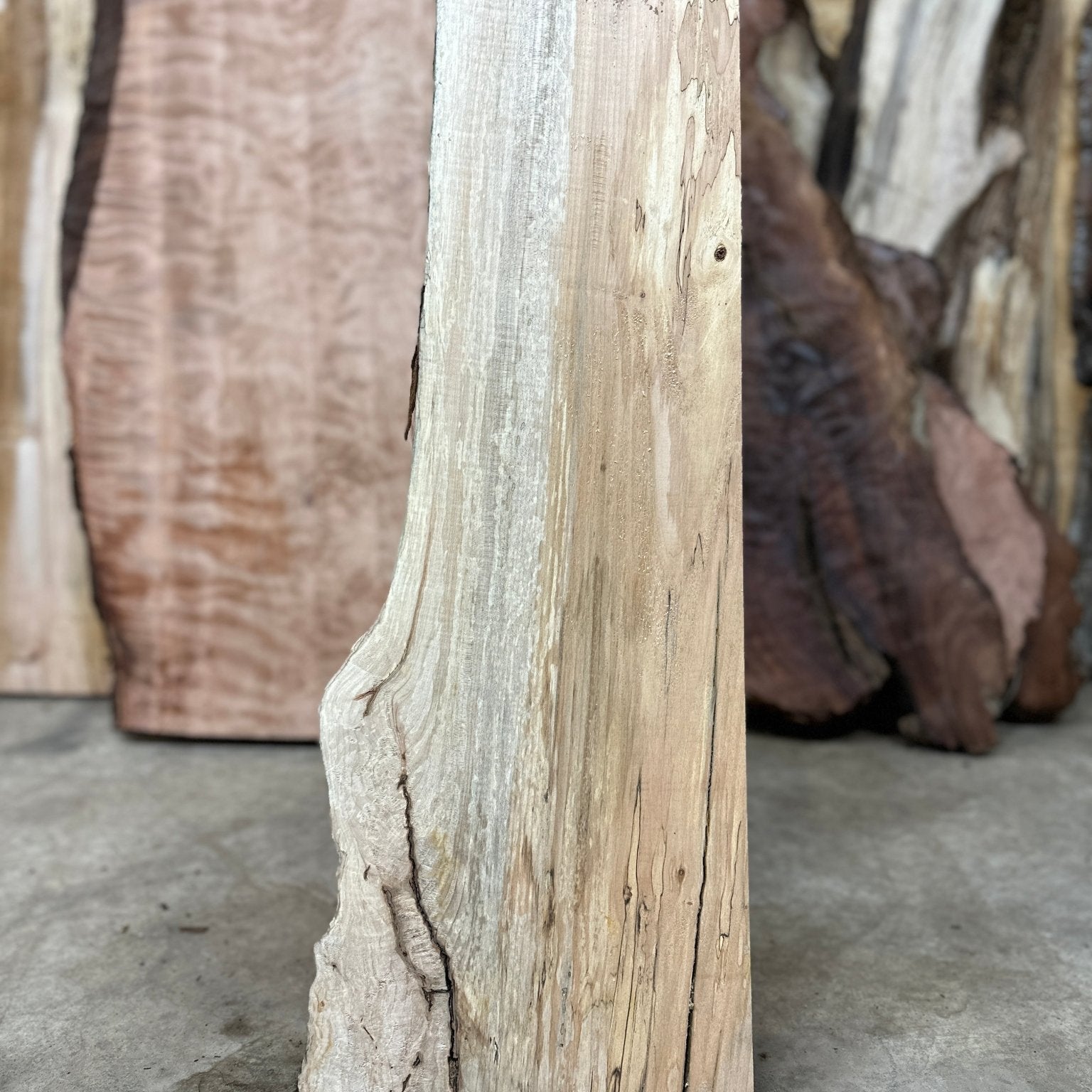 LiveEdge Big Leaf Maple | Big Leaf Maple | Hamilton Lee Supply