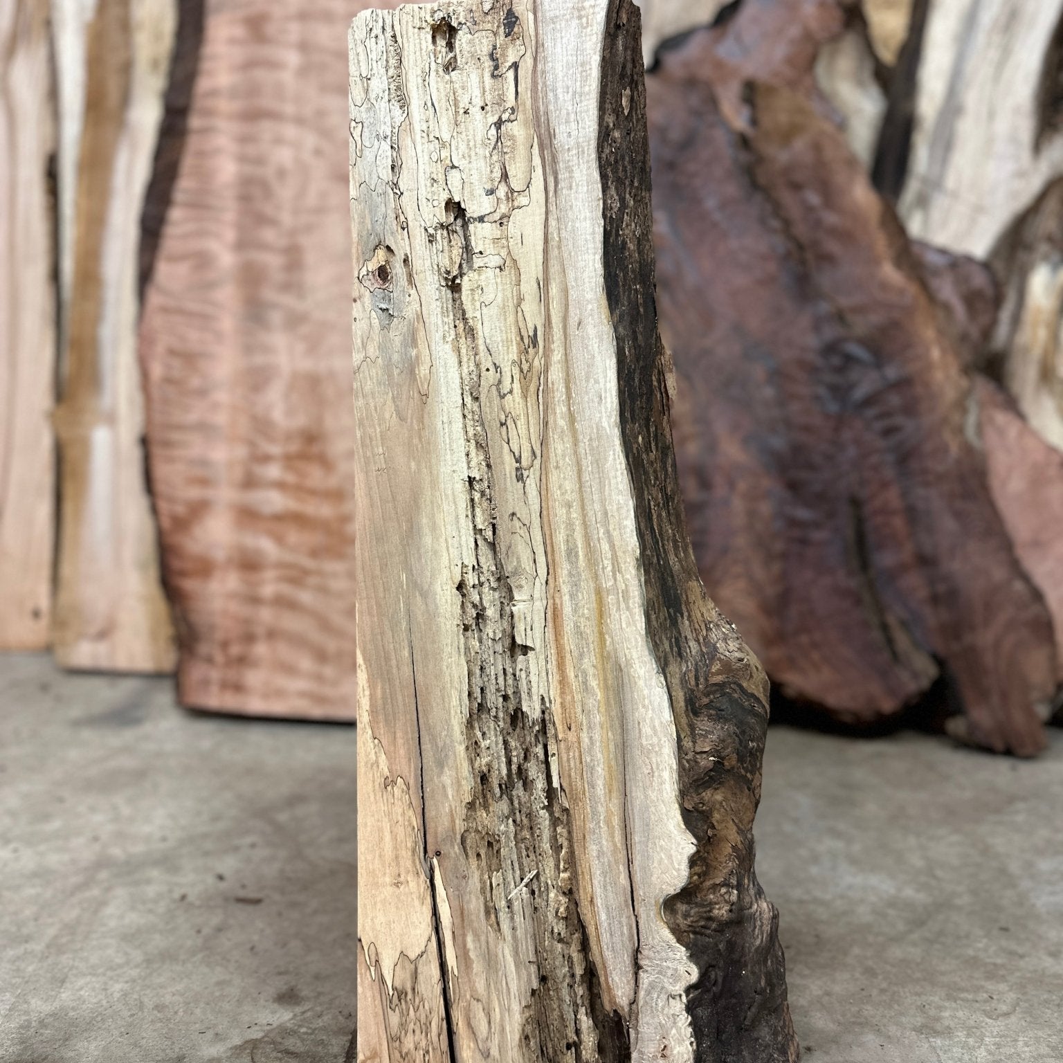 LiveEdge Big Leaf Maple | Big Leaf Maple | Hamilton Lee Supply