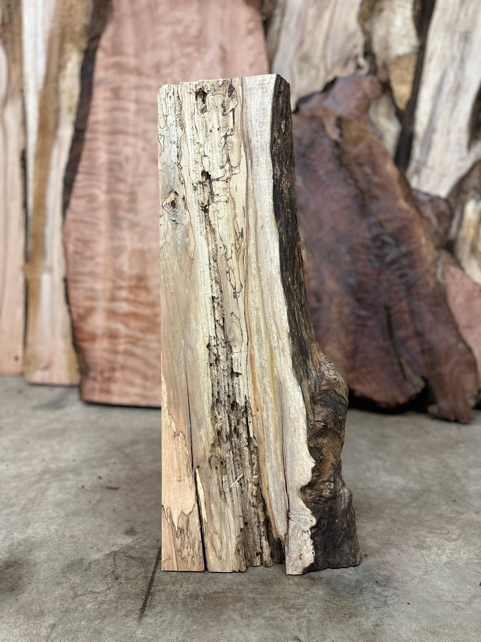 LiveEdge Big Leaf Maple | Big Leaf Maple | Hamilton Lee Supply