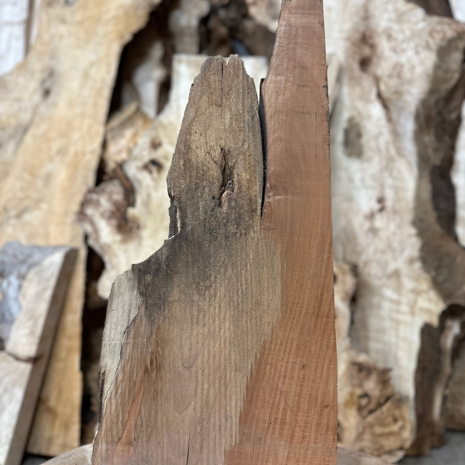 LiveEdge Big Leaf Maple | Big Leaf Maple | Hamilton Lee Supply