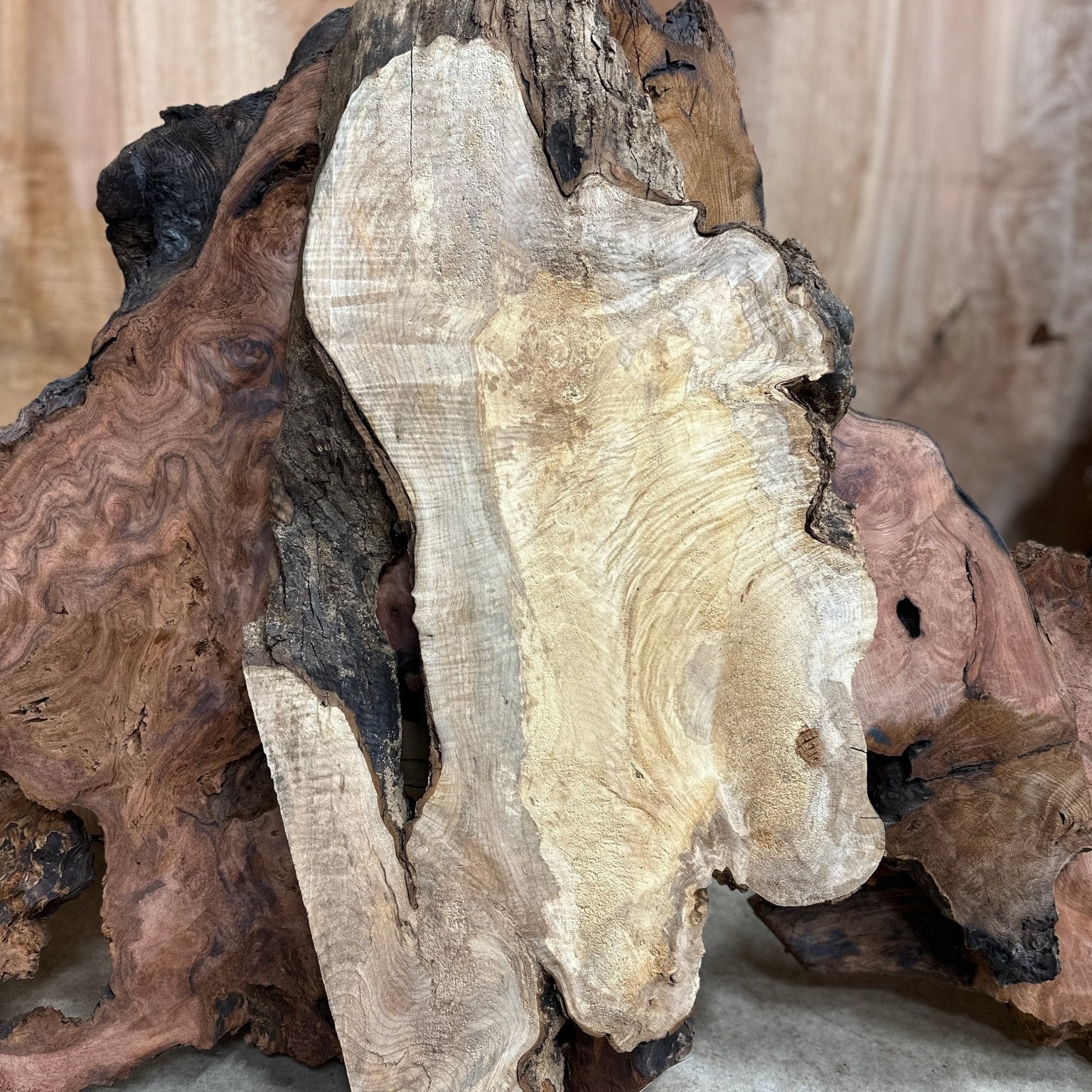 LiveEdge Big Leaf Maple | Big Leaf Maple | Hamilton Lee Supply