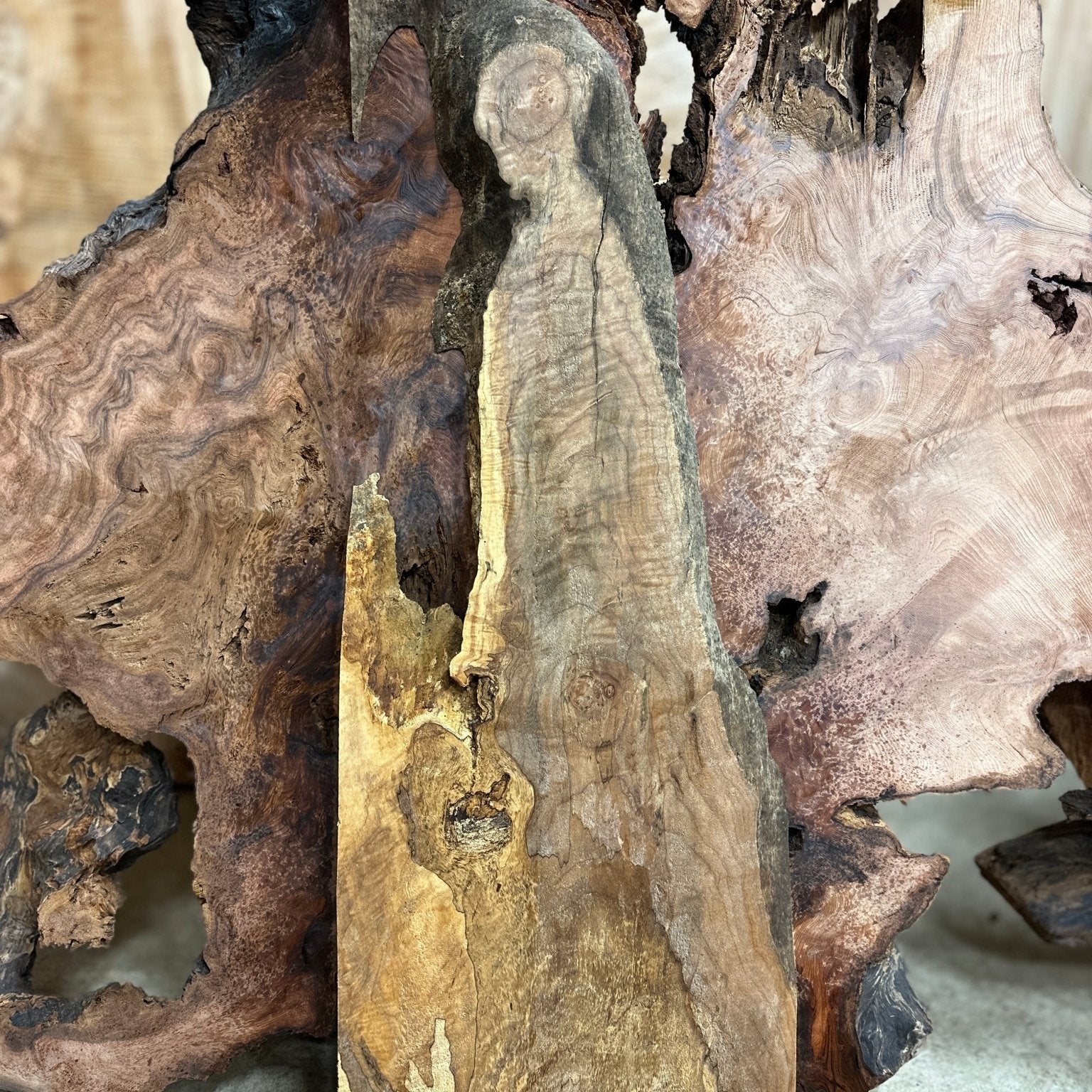 LiveEdge Big Leaf Maple | Big Leaf Maple | Hamilton Lee Supply