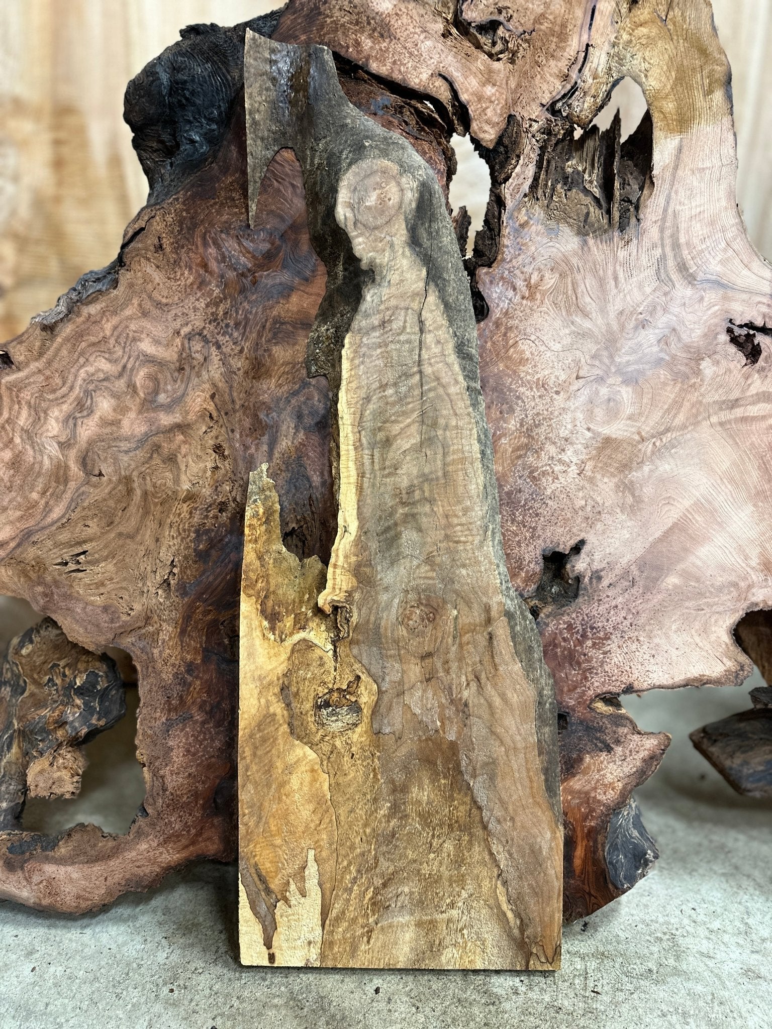 LiveEdge Big Leaf Maple | Big Leaf Maple | Hamilton Lee Supply