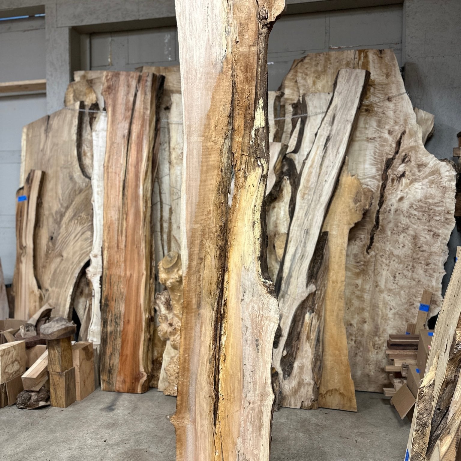 LiveEdge Big Leaf Maple | Big Leaf Maple | Hamilton Lee Supply