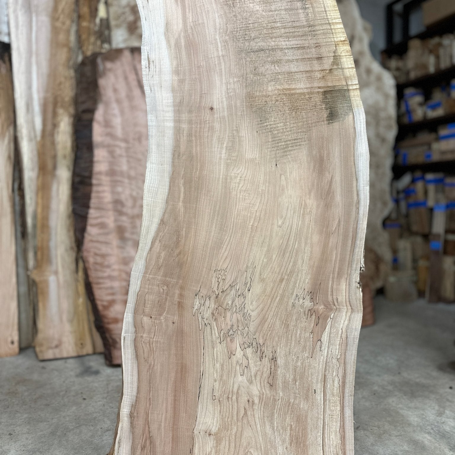 LiveEdge Big Leaf Maple | Big Leaf Maple | Hamilton Lee Supply