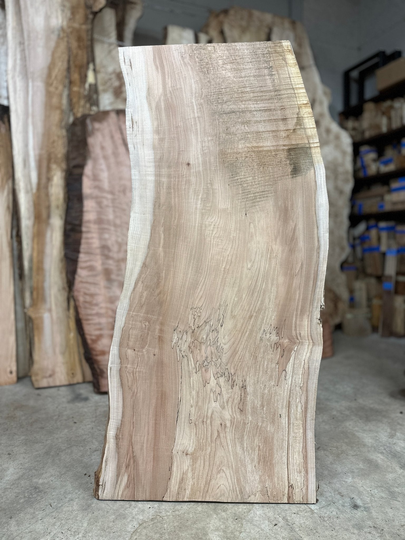 LiveEdge Big Leaf Maple | Big Leaf Maple | Hamilton Lee Supply