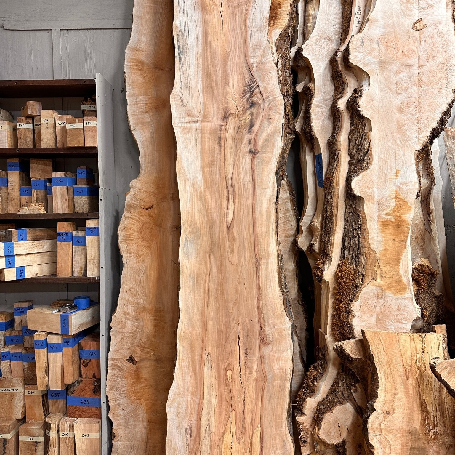 LiveEdge Big Leaf Maple | Big Leaf Maple | Hamilton Lee Supply