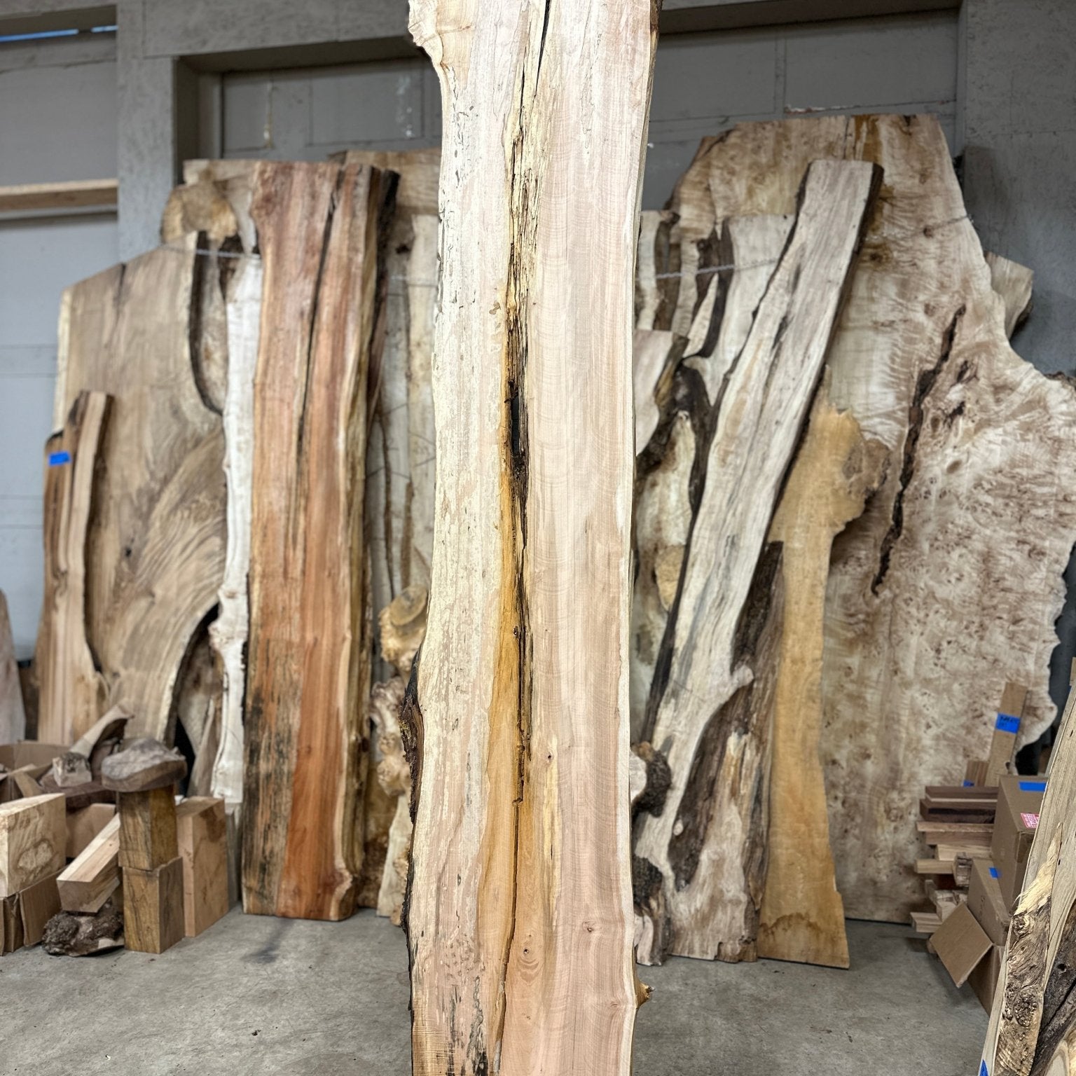 LiveEdge Big Leaf Maple | Big Leaf Maple | Hamilton Lee Supply