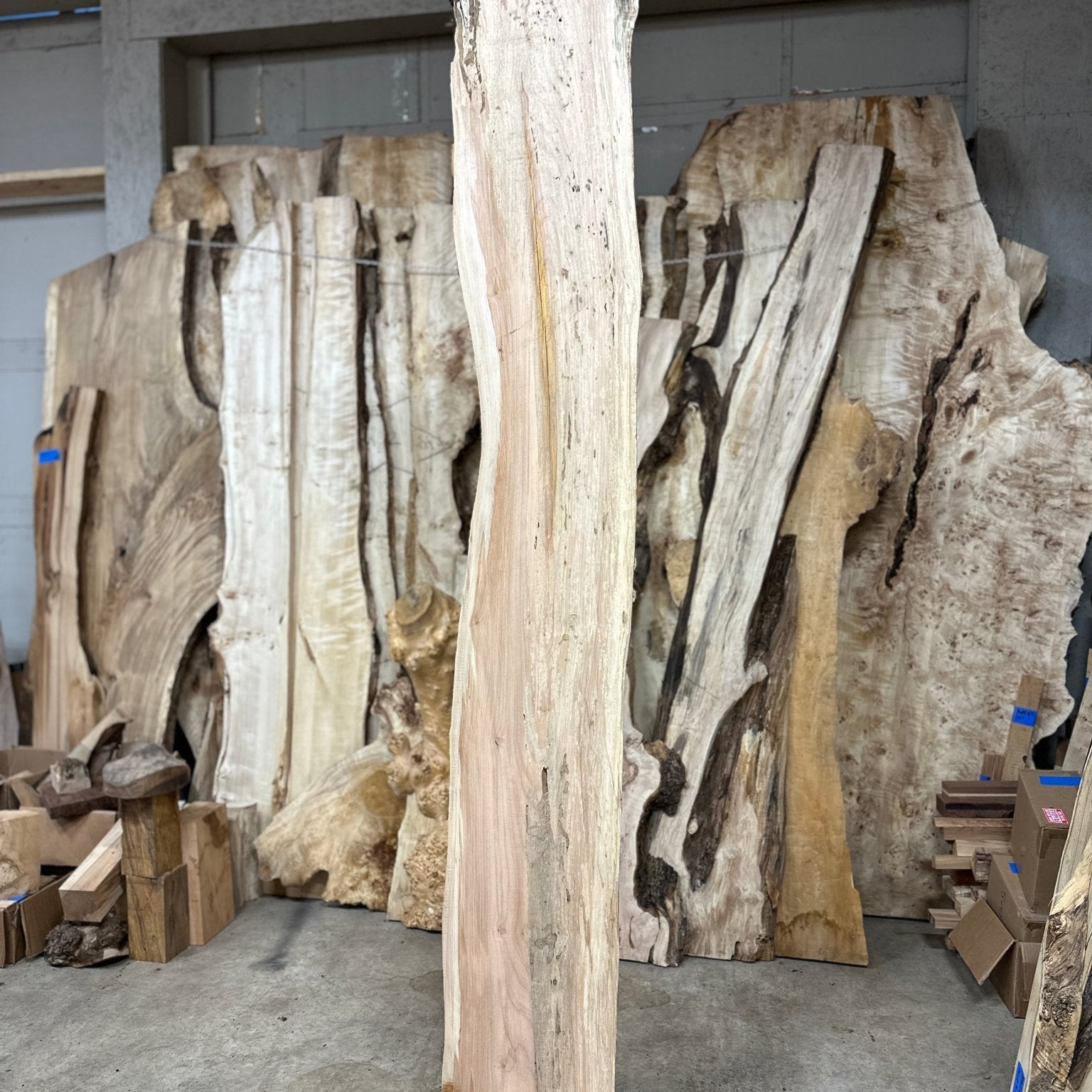 LiveEdge Big Leaf Maple | Big Leaf Maple | Hamilton Lee Supply
