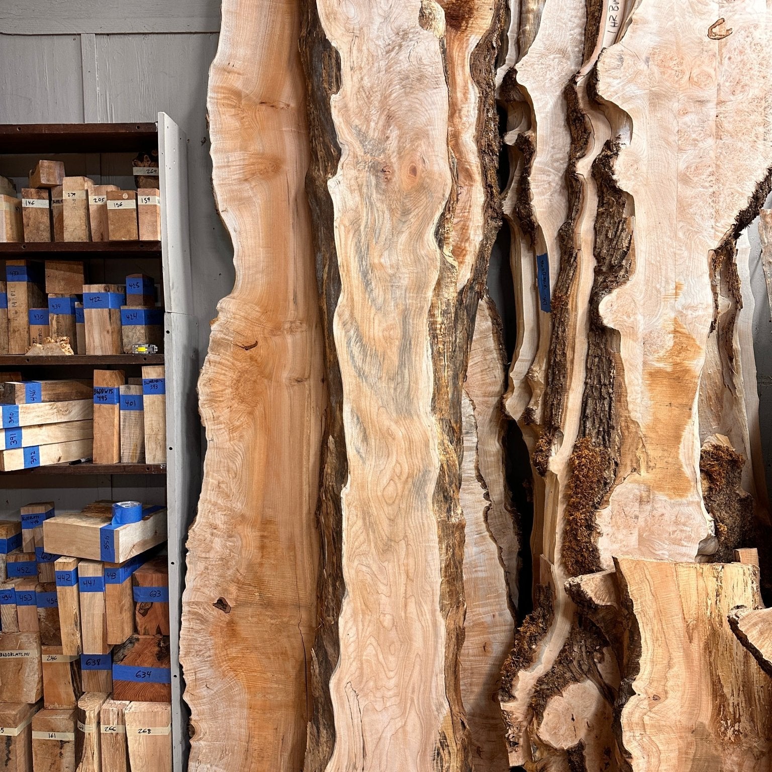 LiveEdge Big Leaf Maple | Big Leaf Maple | Hamilton Lee Supply