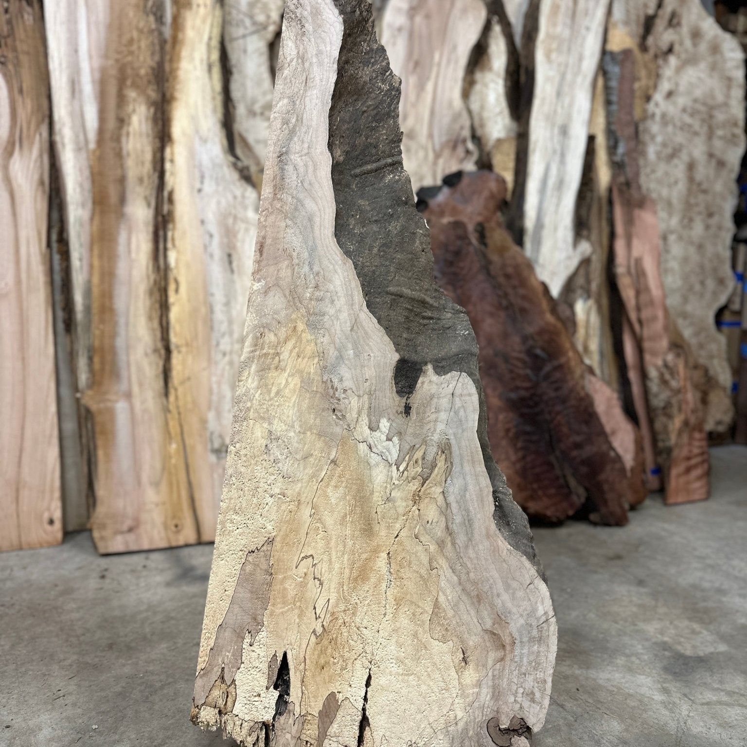 LiveEdge Big Leaf Maple | Big Leaf Maple | Hamilton Lee Supply