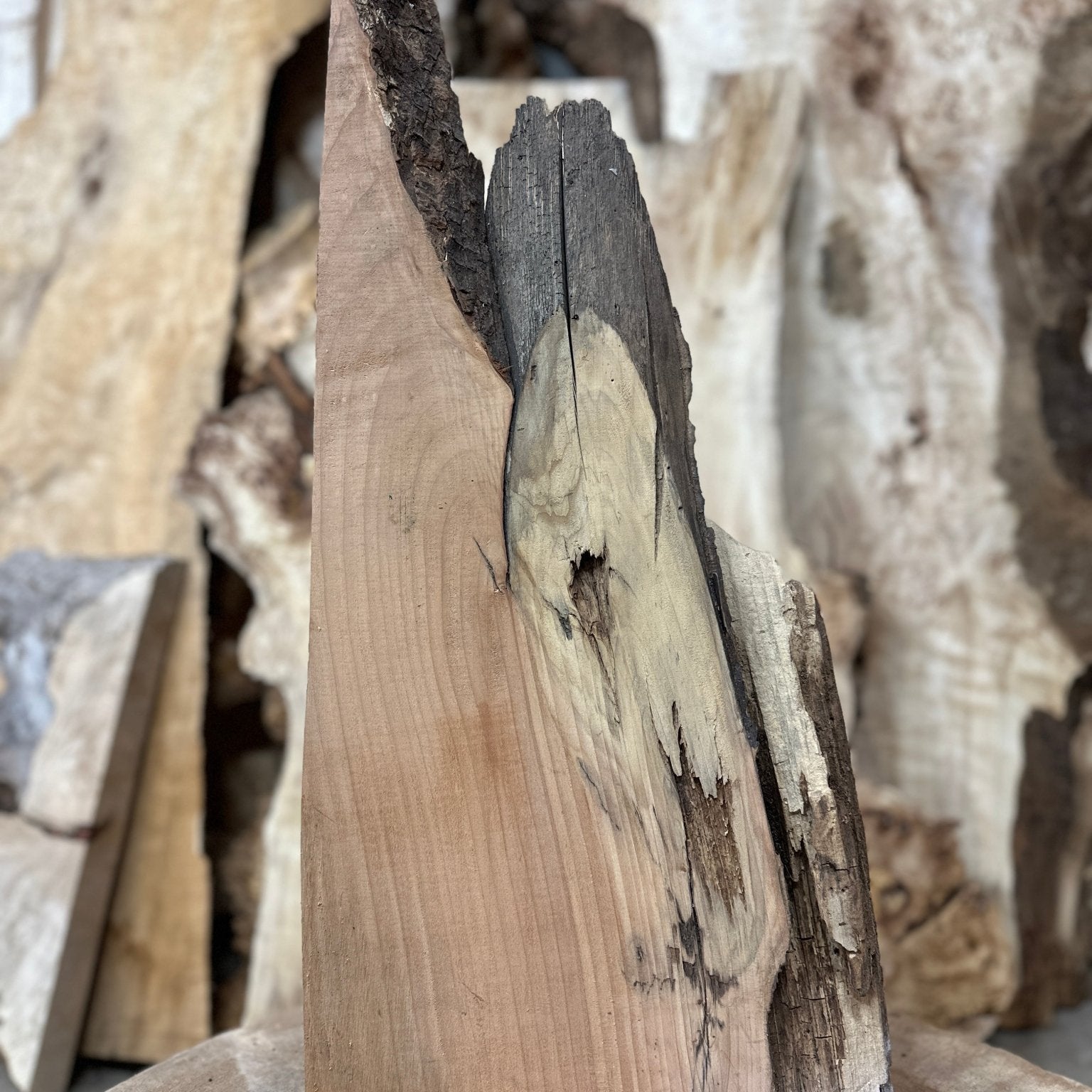 LiveEdge Big Leaf Maple | Big Leaf Maple | Hamilton Lee Supply