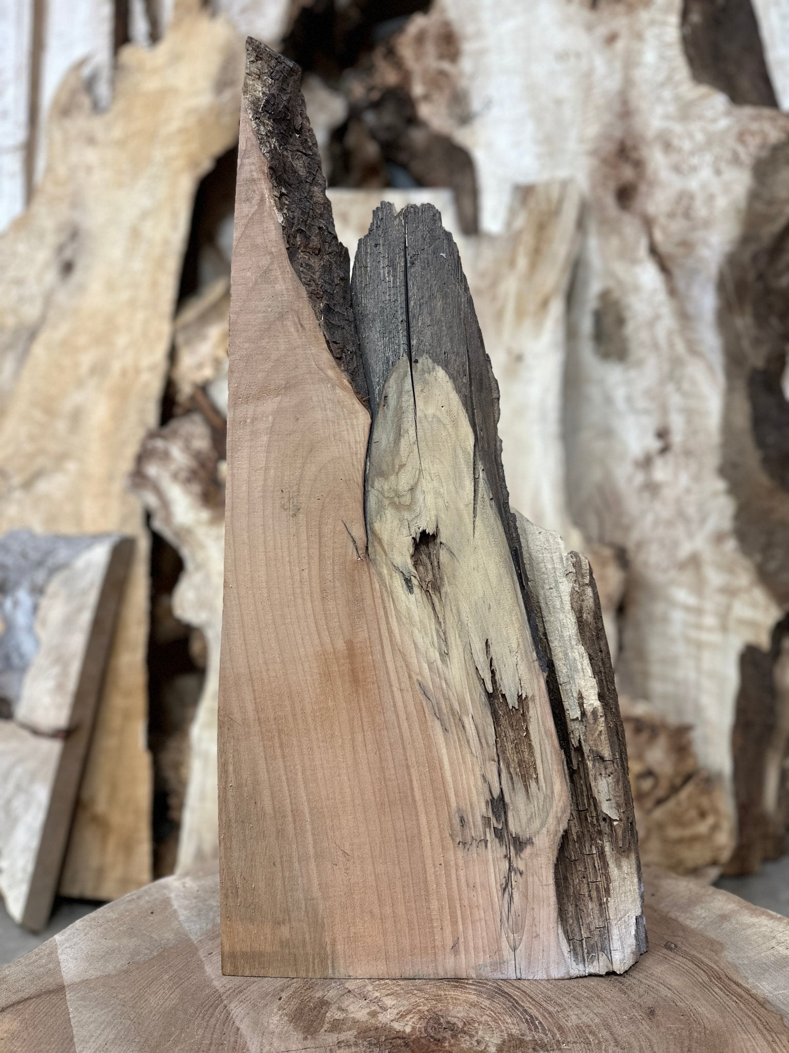 LiveEdge Big Leaf Maple | Big Leaf Maple | Hamilton Lee Supply