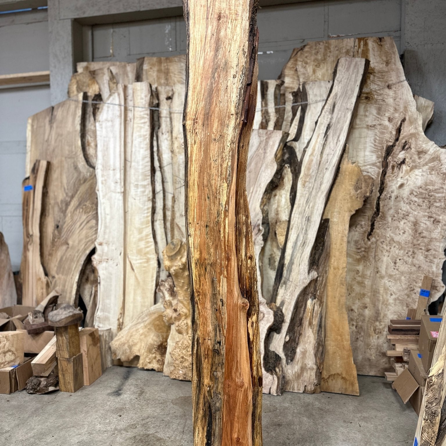 LiveEdge Big Leaf Maple | Big Leaf Maple | Hamilton Lee Supply