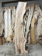 LiveEdge Big Leaf Maple | Big Leaf Maple | Hamilton Lee Supply