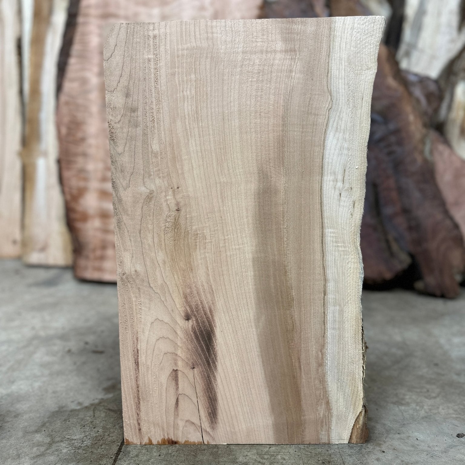 LiveEdge Big Leaf Maple | Big Leaf Maple | Hamilton Lee Supply