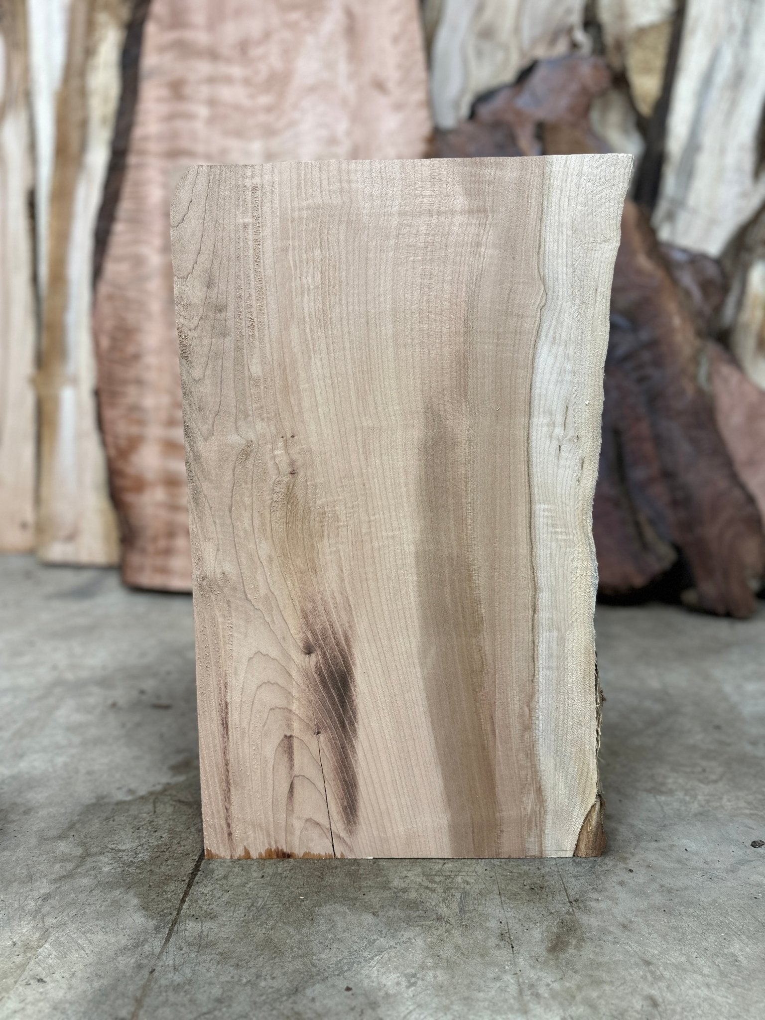 LiveEdge Big Leaf Maple | Big Leaf Maple | Hamilton Lee Supply