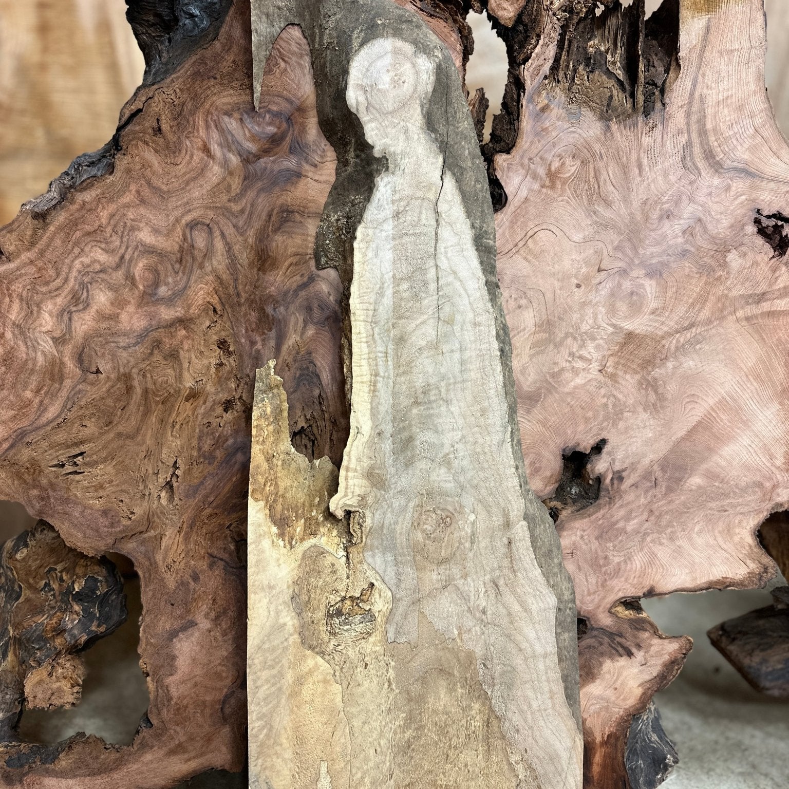 LiveEdge Big Leaf Maple | Big Leaf Maple | Hamilton Lee Supply