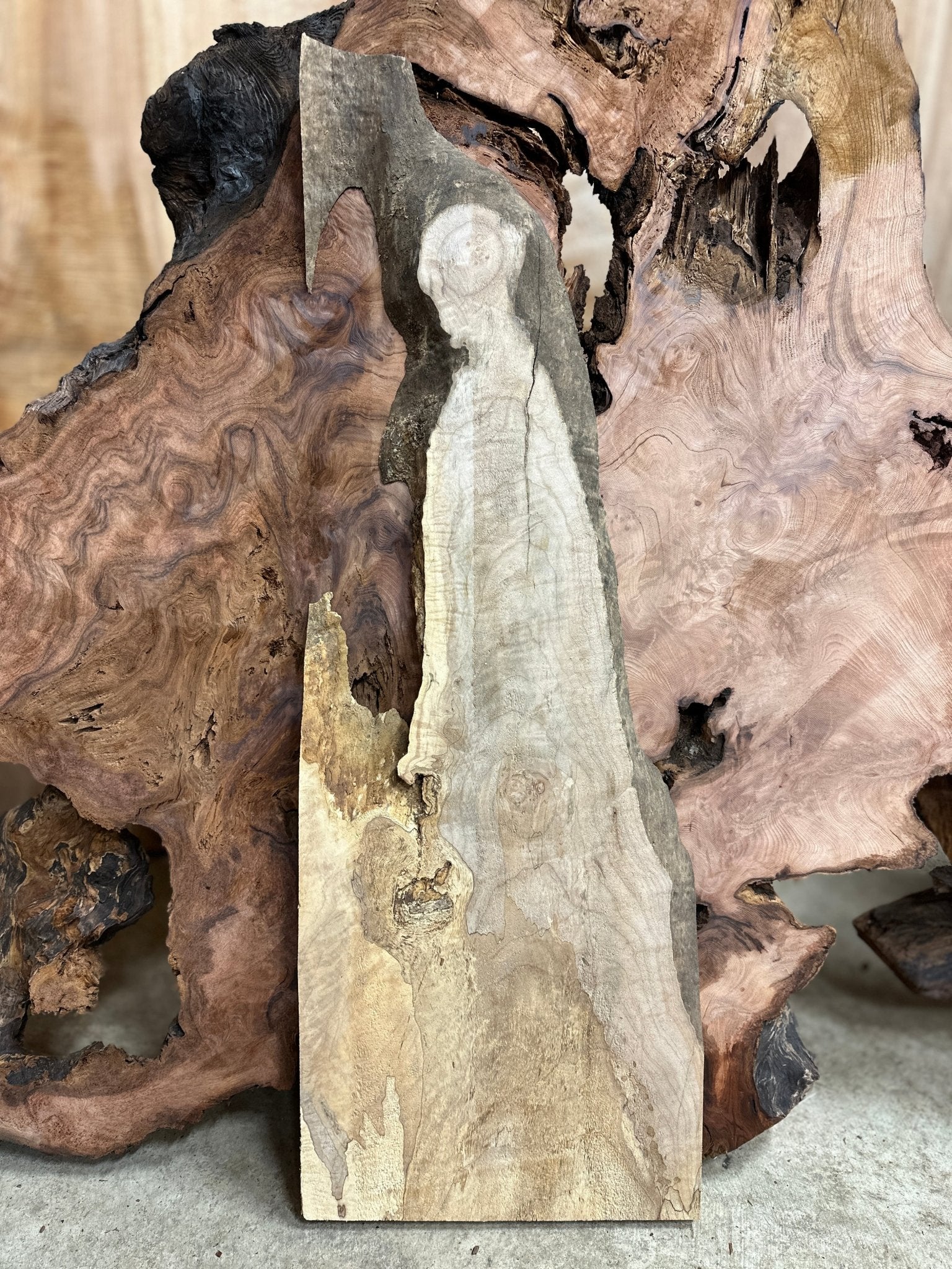 LiveEdge Big Leaf Maple | Big Leaf Maple | Hamilton Lee Supply