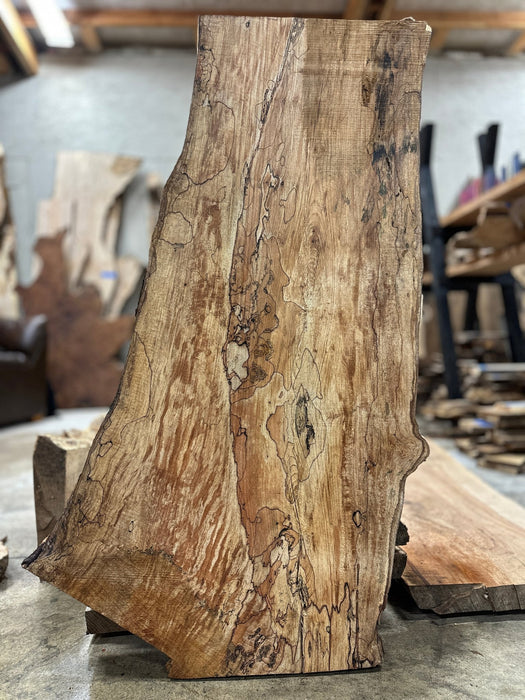 Double Diamond | LiveEdge Big Leaf Maple Premium Spalt | Big Leaf Maple | Hamilton Lee Supply