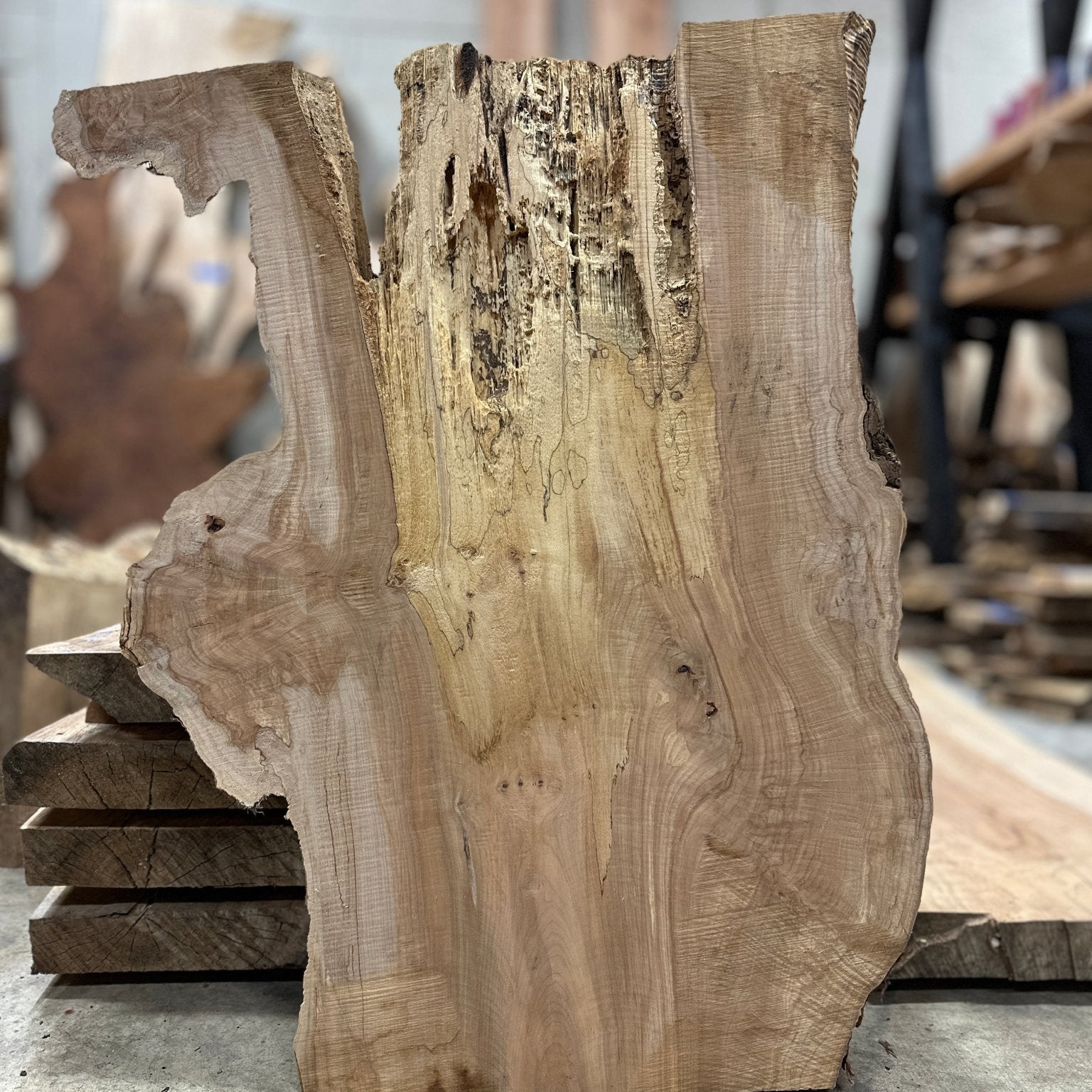 LiveEdge Big Leaf Maple Slab | Big Leaf Maple | Hamilton Lee Supply