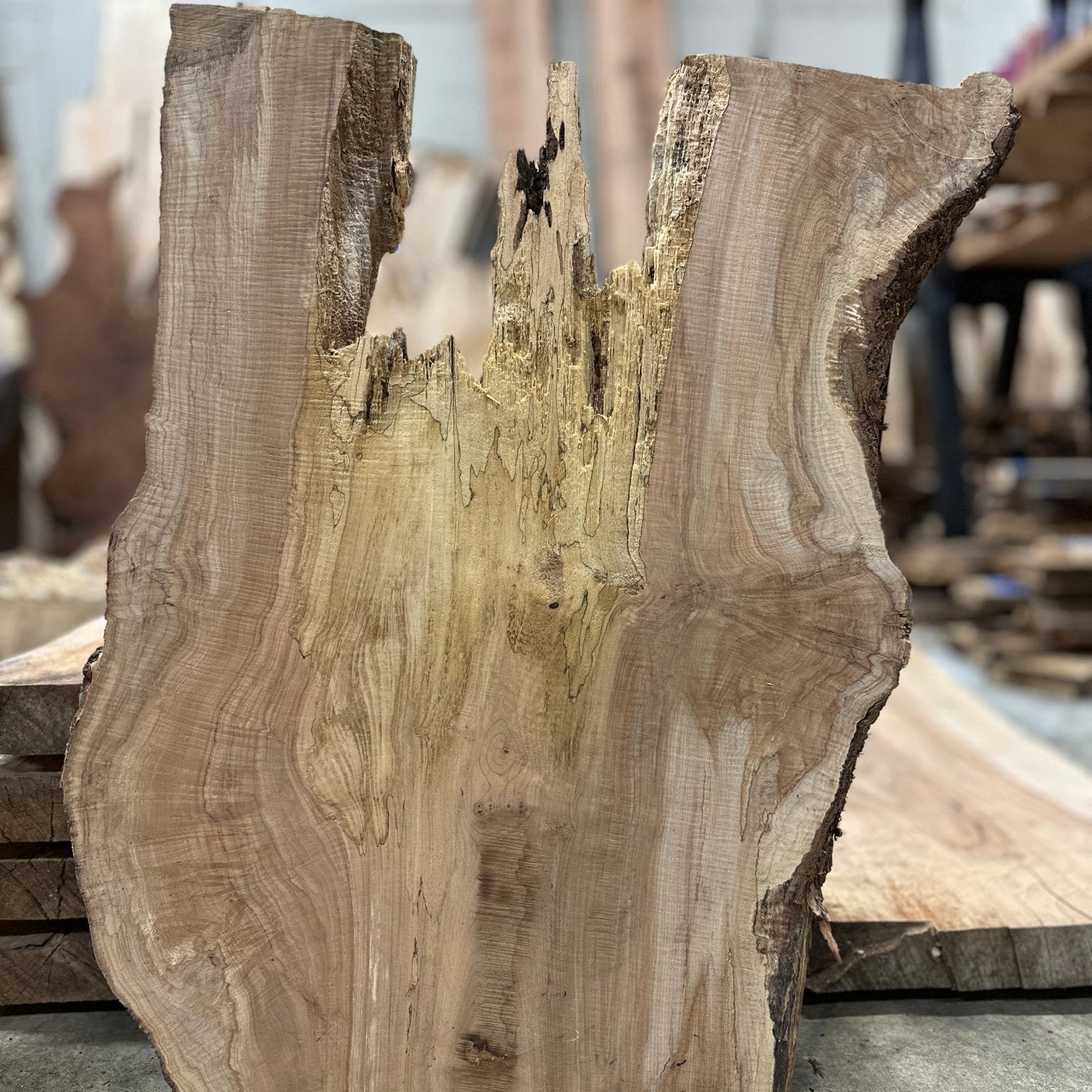 LiveEdge Big Leaf Maple Slab | Big Leaf Maple | Hamilton Lee Supply