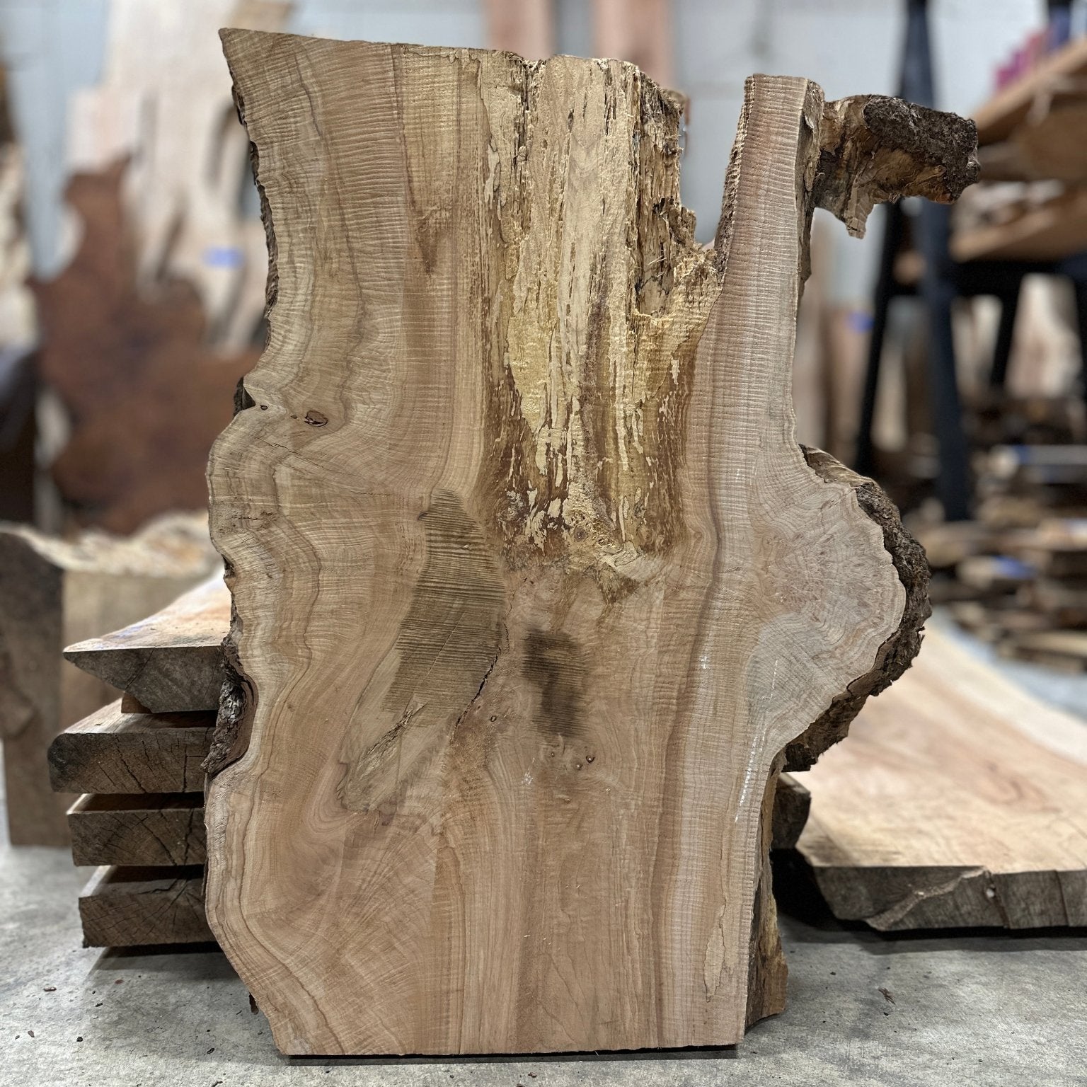 LiveEdge Big Leaf Maple Slab | Big Leaf Maple | Hamilton Lee Supply