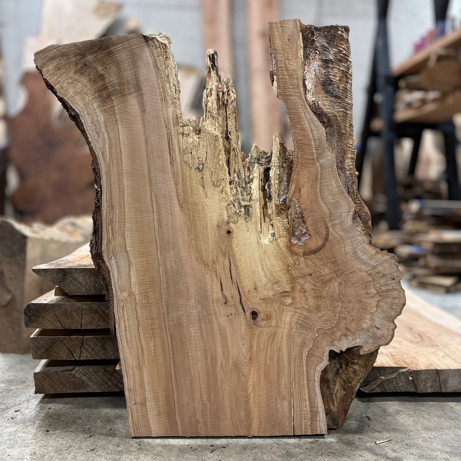 LiveEdge Big Leaf Maple Slab | Big Leaf Maple | Hamilton Lee Supply
