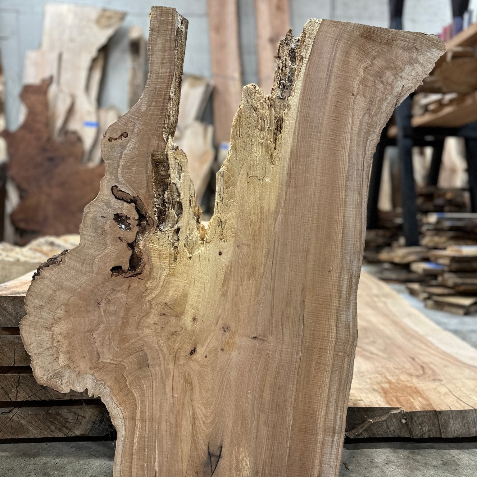 LiveEdge Big Leaf Maple Slab | Big Leaf Maple | Hamilton Lee Supply